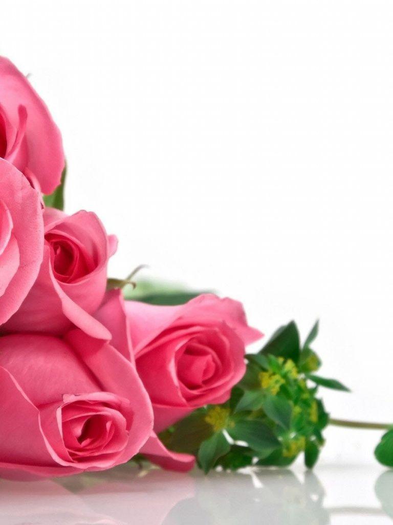 Rose iPad Wallpapers Top Free Rose iPad Backgrounds WallpaperAccess