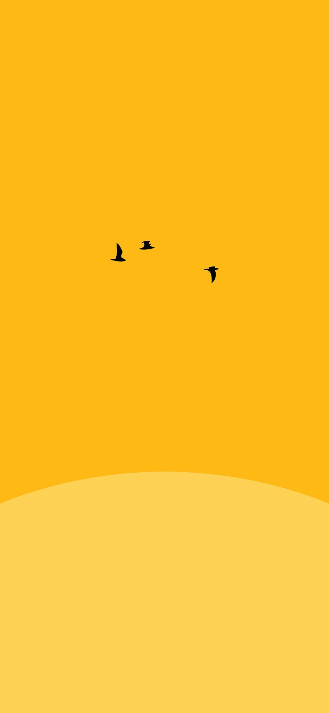 Yellow iPhone X Wallpapers Top Free Yellow iPhone X Backgrounds