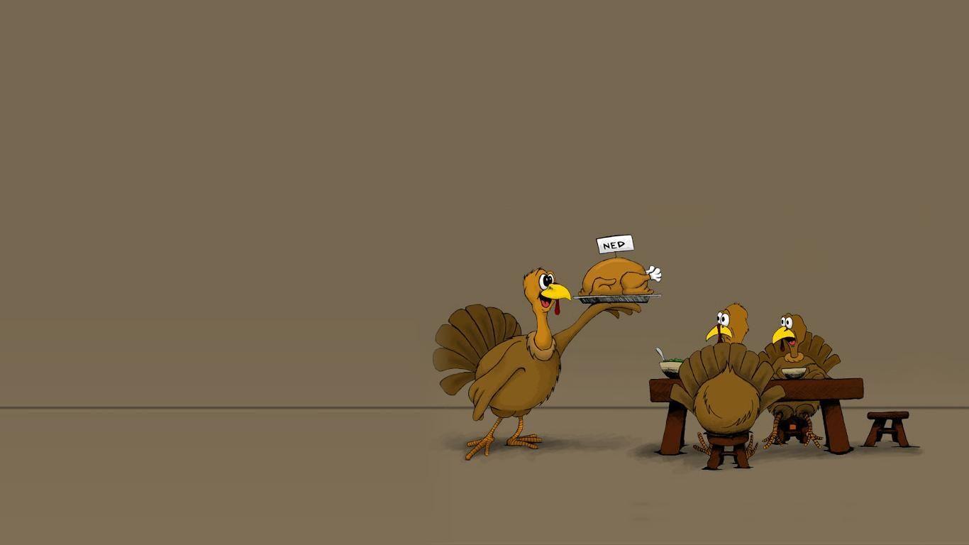Funny Turkey Wallpapers - Top Free Funny Turkey Backgrounds -  Wallpaperaccess