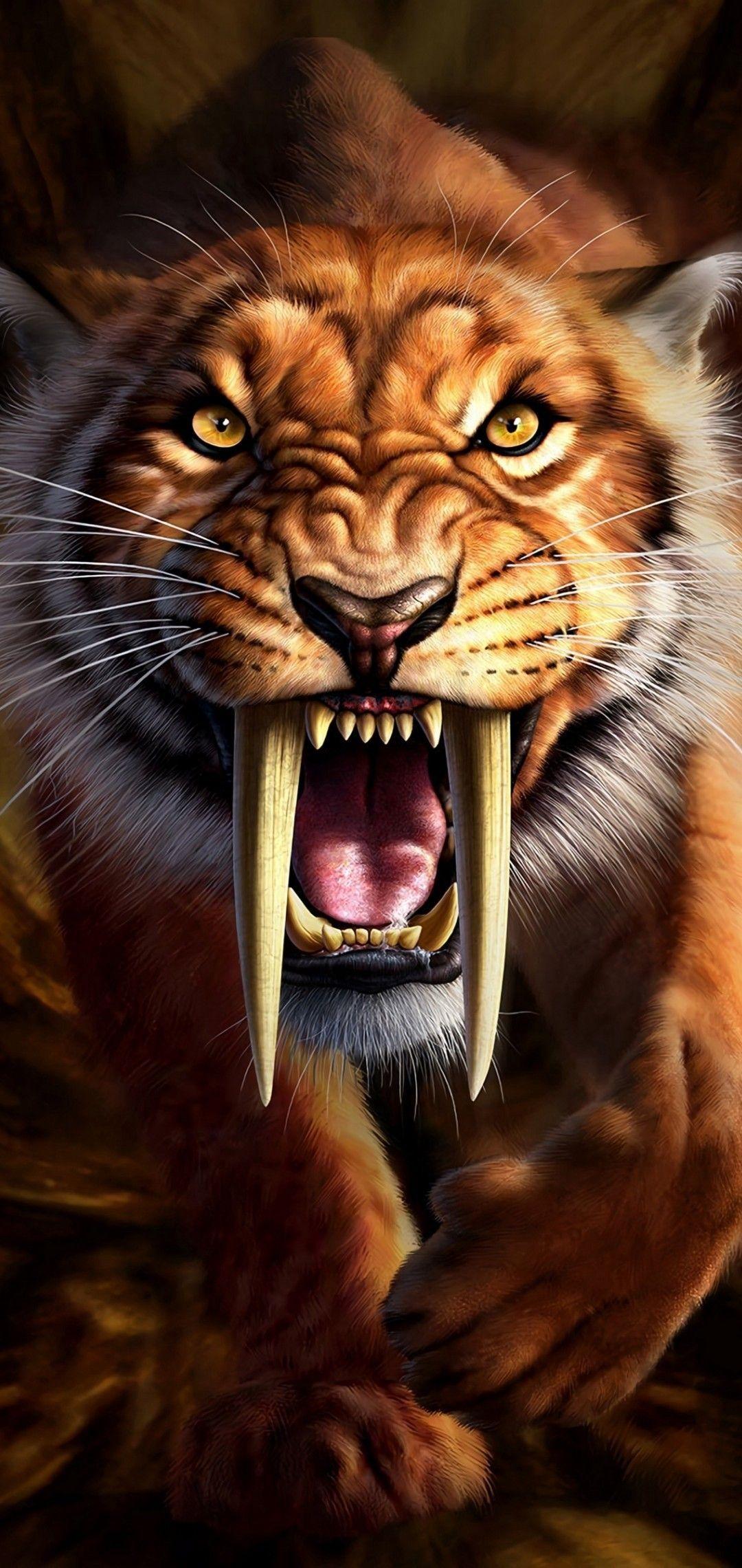 Dangerous Animals Wallpapers Top Free Dangerous Animals Backgrounds