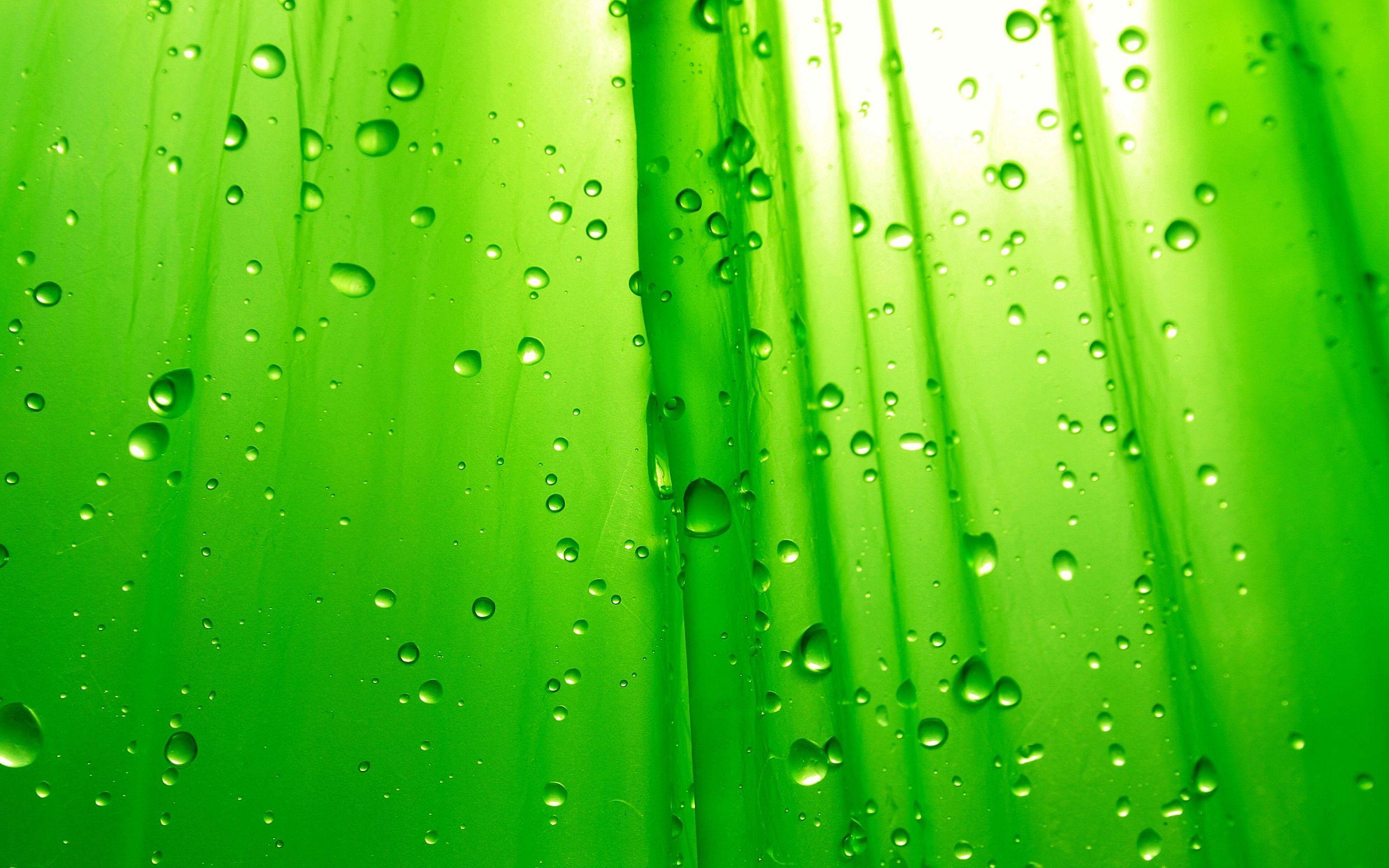 Green Color Wallpapers Top Free Green Color Backgrounds WallpaperAccess