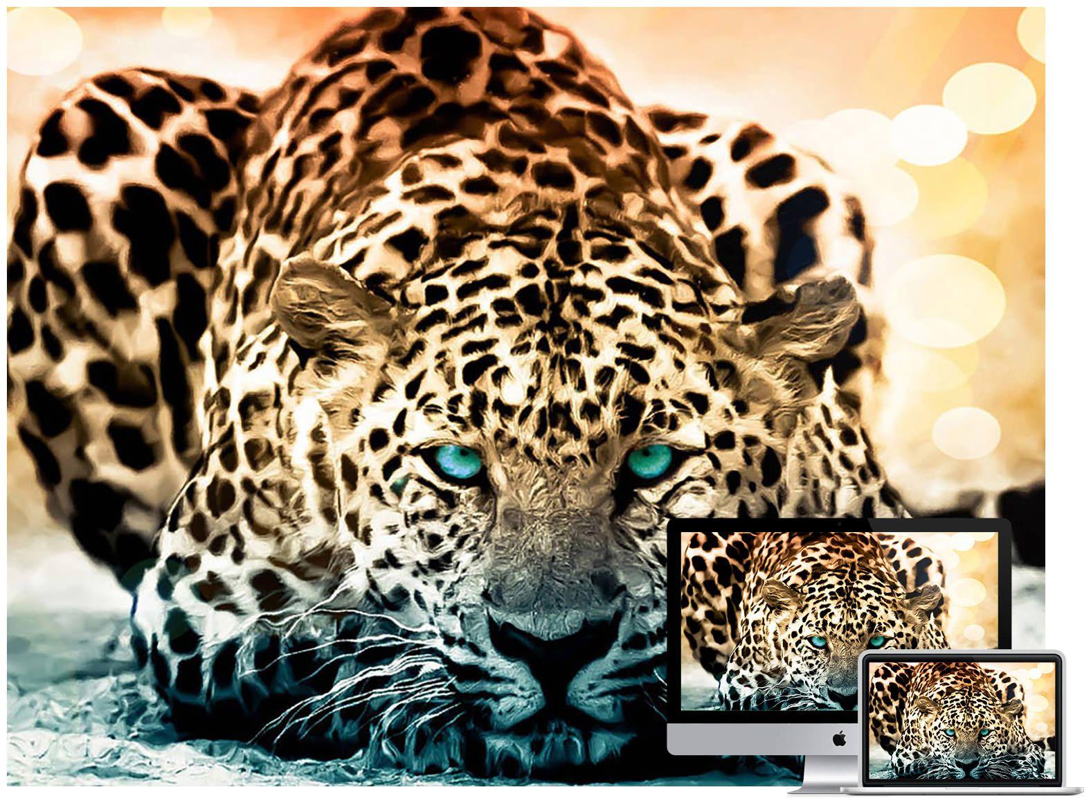 3D Wild Animal Wallpapers Top Free 3D Wild Animal Backgrounds