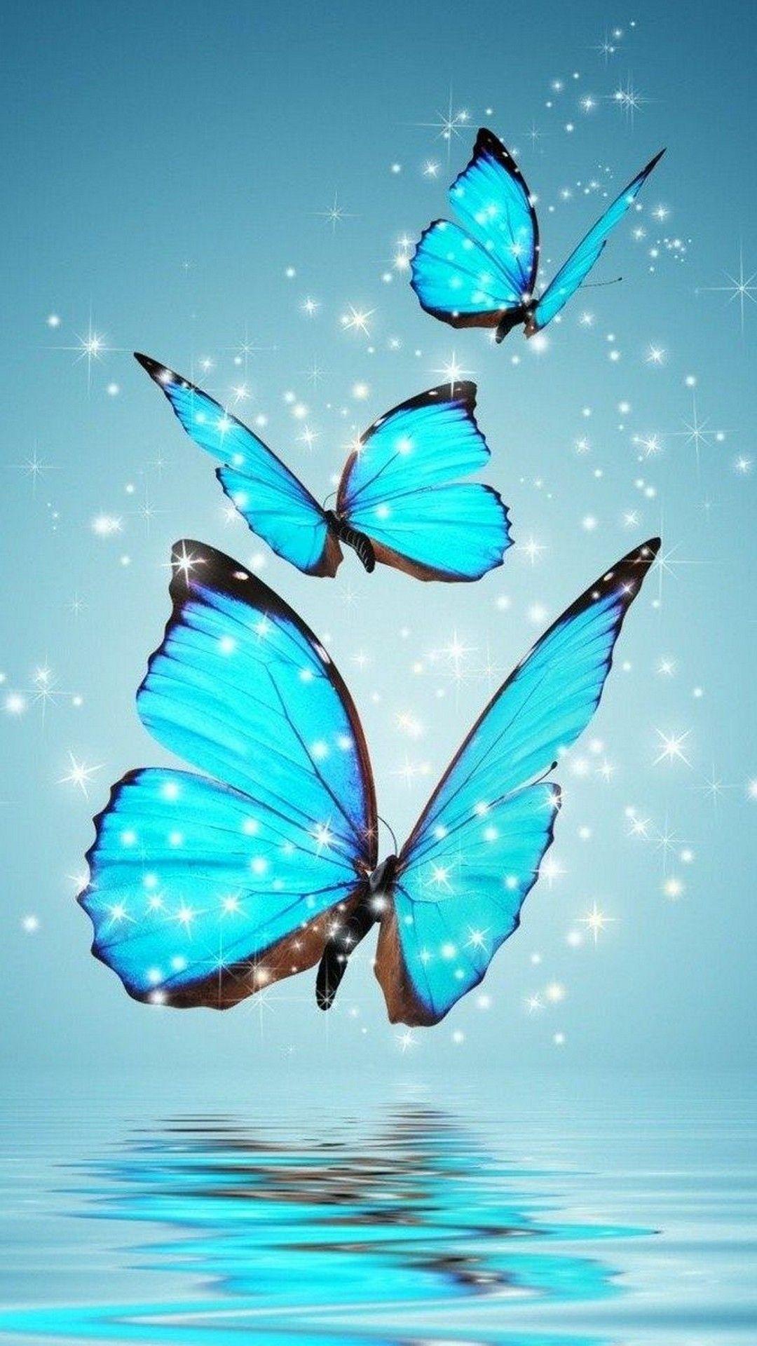 Cute Butterfly Wallpapers Top Free Cute Butterfly Backgrounds