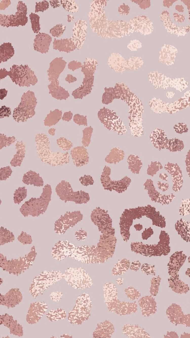 Pink Leopard Wallpapers Top Free Pink Leopard Backgrounds