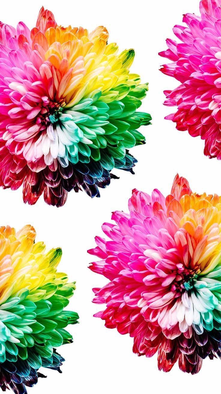 Cheerful Wallpapers Top Free Cheerful Backgrounds WallpaperAccess