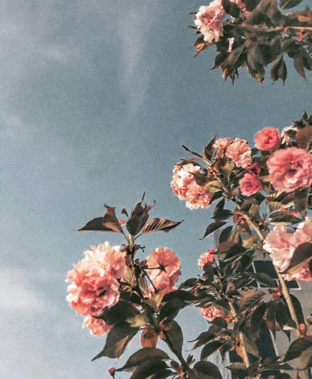 Cheerful Wallpapers Top Free Cheerful Backgrounds WallpaperAccess