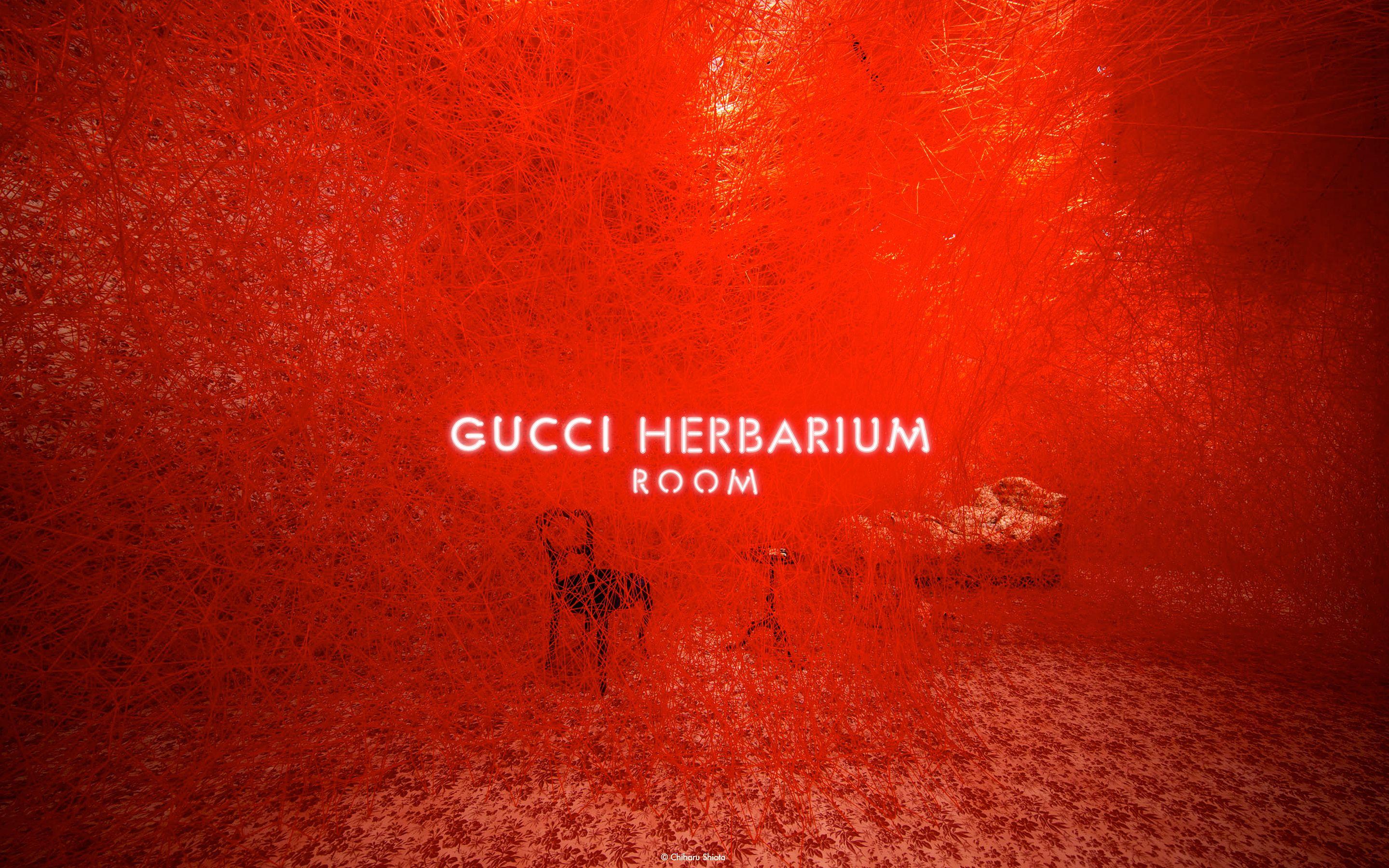 Gucci Laptop Wallpapers Top Free Gucci Laptop Backgrounds