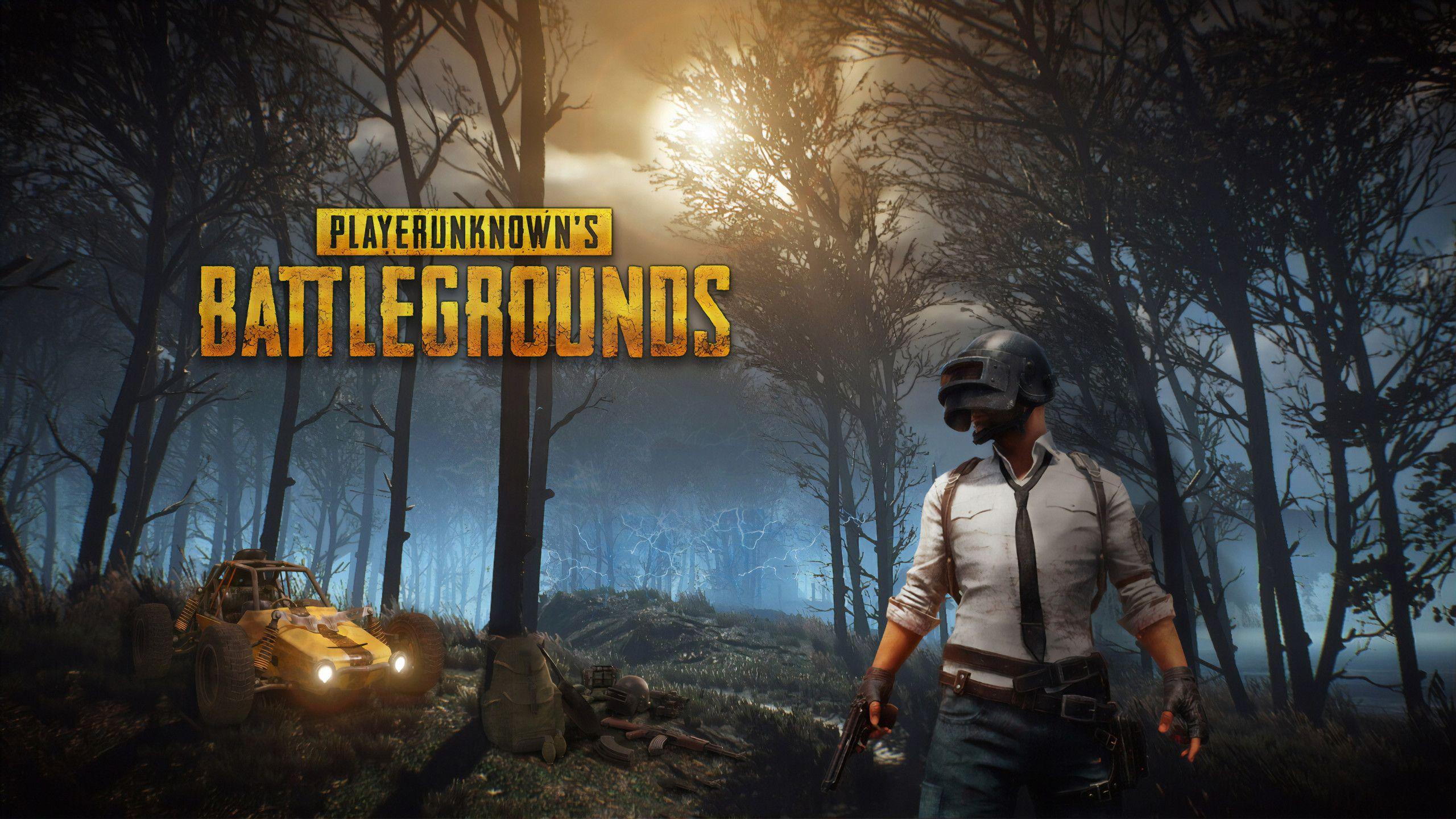 2560x1440 PUBG Wallpapers Top Free 2560x1440 PUBG Backgrounds