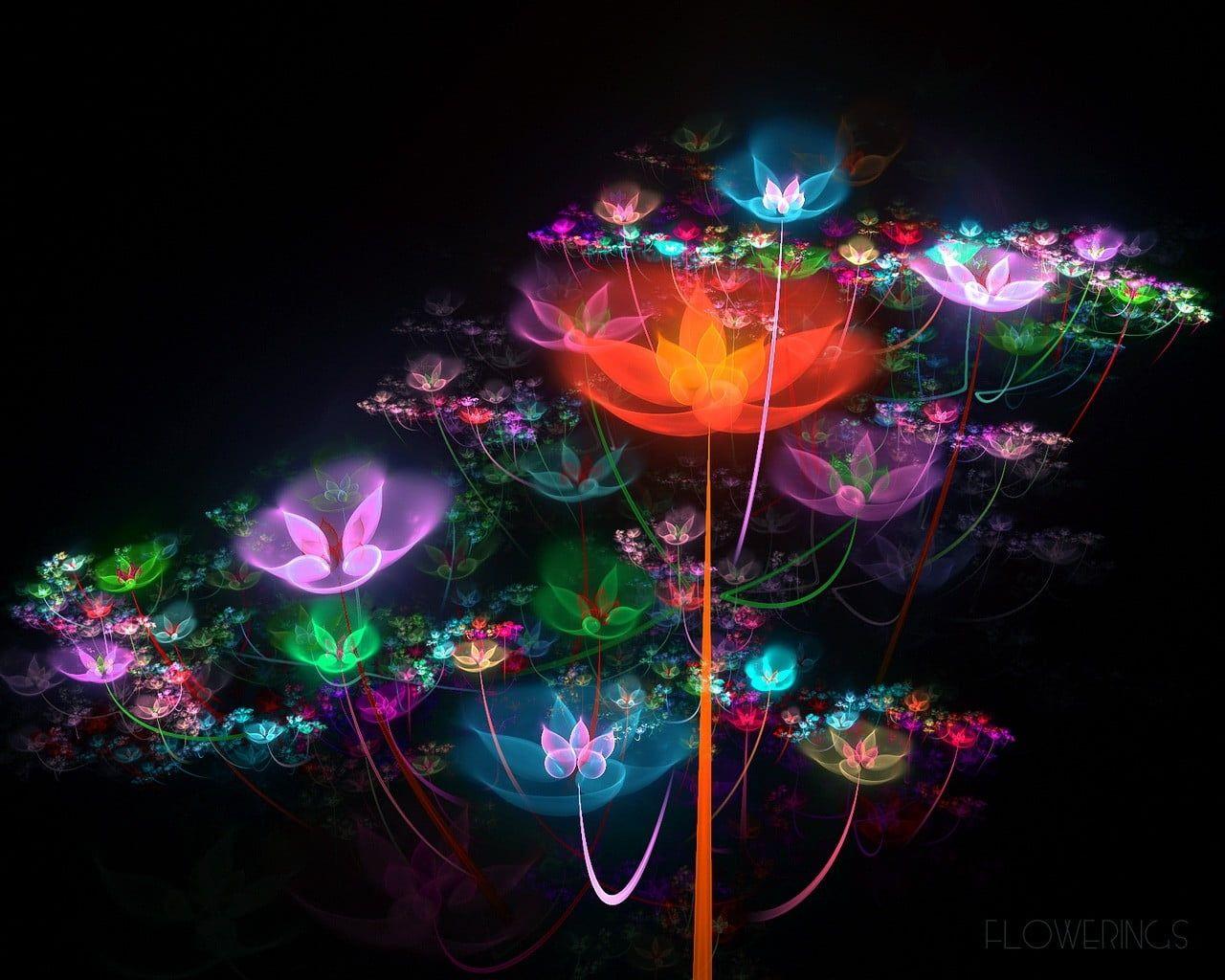 4d Flower Wallpapers