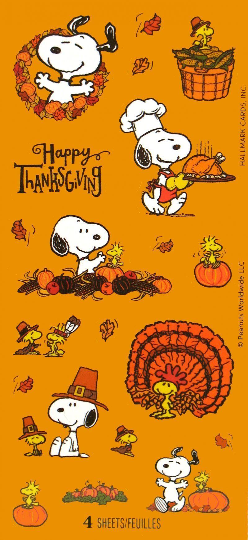 Snoopy Thanksgiving Wallpapers Top Free Snoopy Thanksgiving