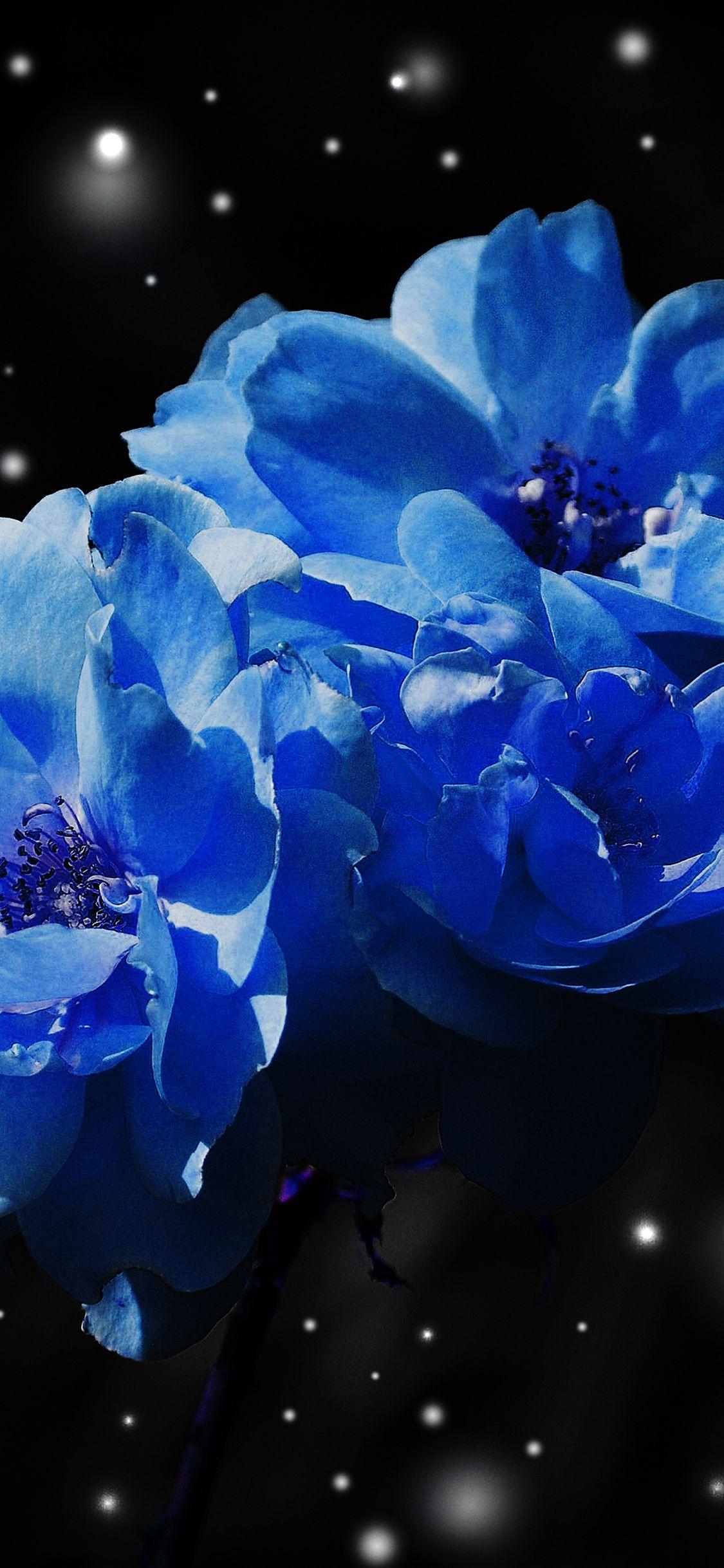 Blue Flower iPhone Wallpapers Top Free Blue Flower iPhone Backgrounds