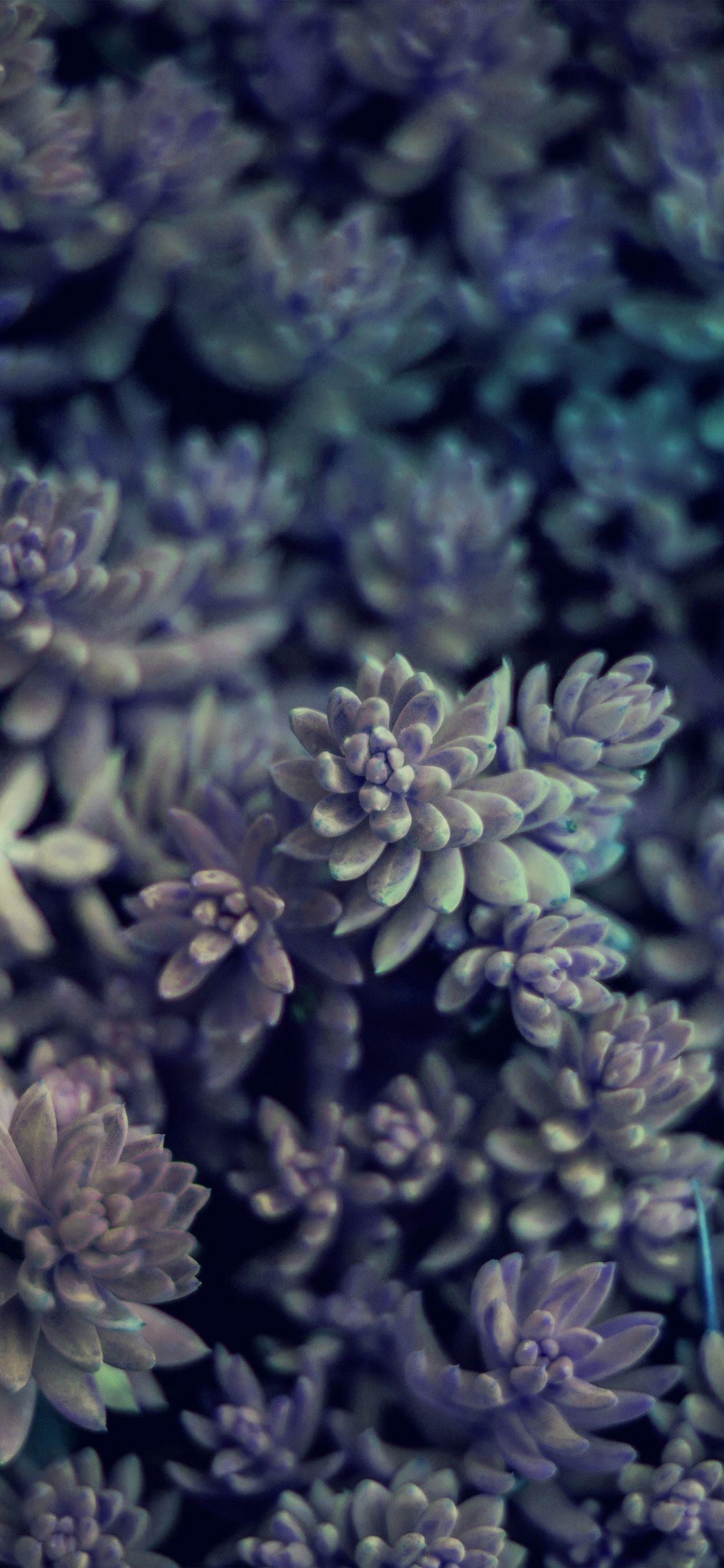 Green Flower iPhone Wallpapers Top Free Green Flower iPhone