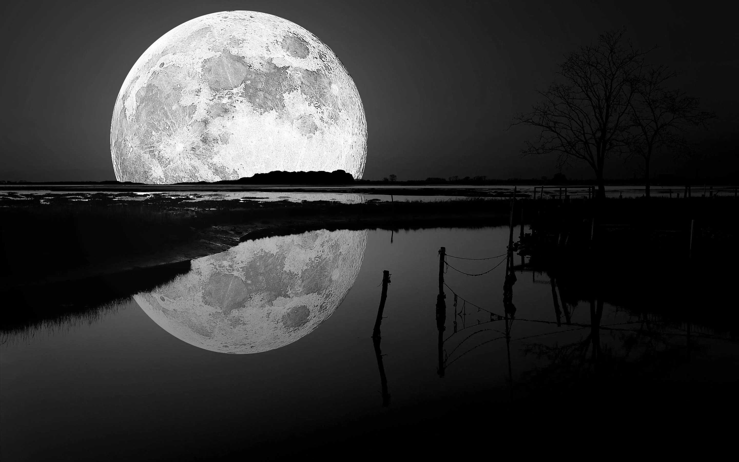 Black Moon Wallpapers Top Free Black Moon Backgrounds WallpaperAccess