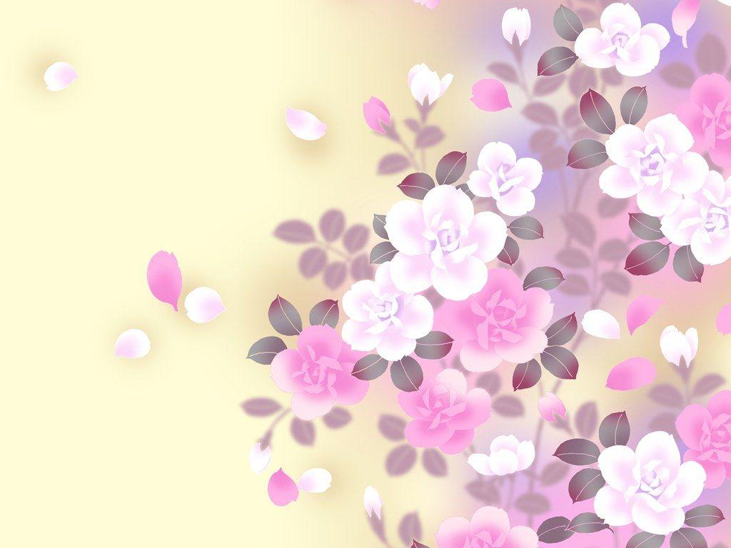 Modern Flower Wallpapers Top Free Modern Flower Backgrounds