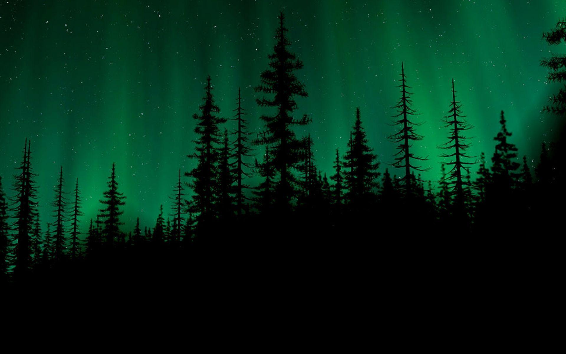 Dark Green Forest Wallpapers Top Free Dark Green Forest Backgrounds