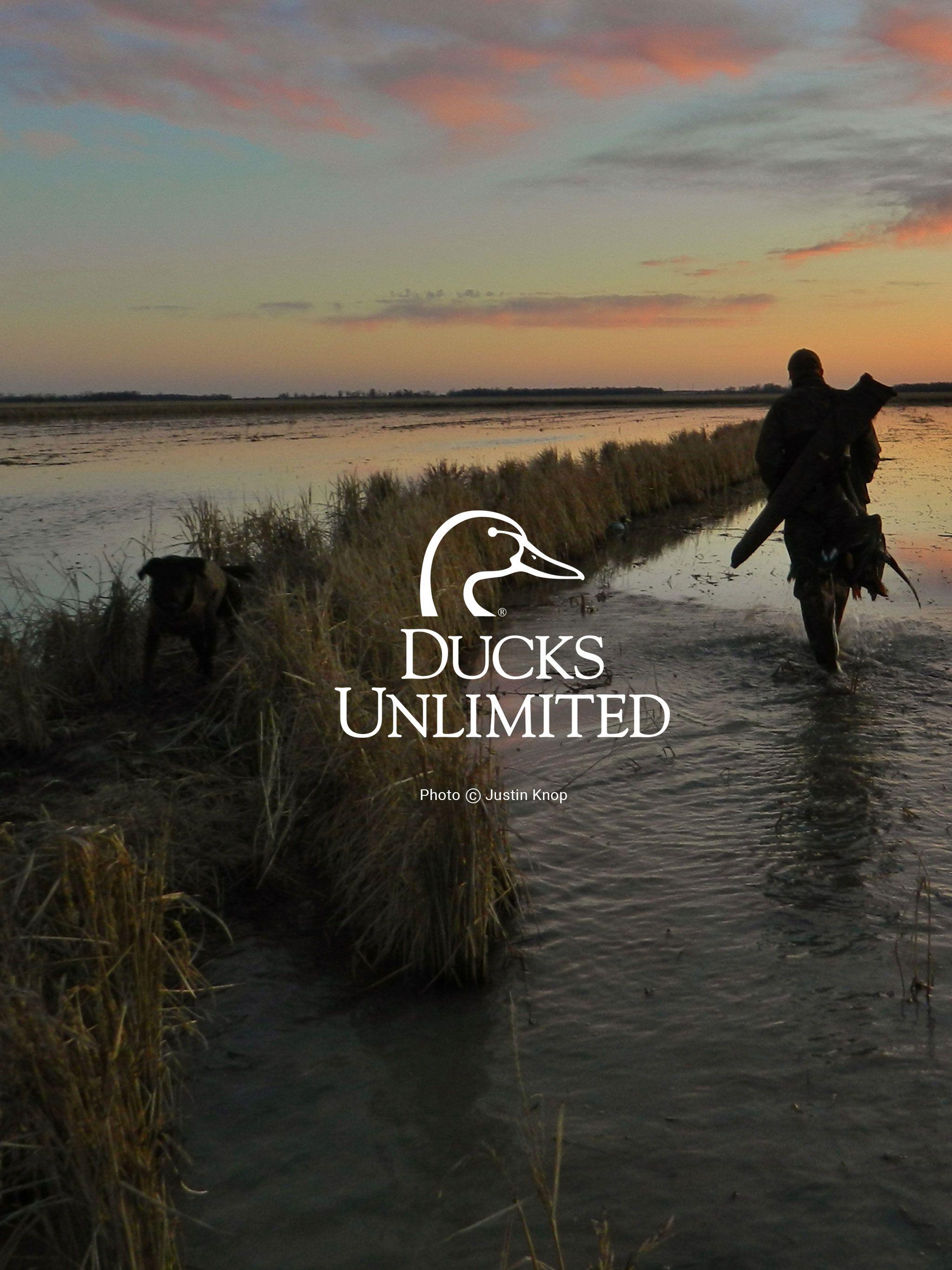 Ducks Unlimited Wallpapers Top Free Ducks Unlimited Backgrounds
