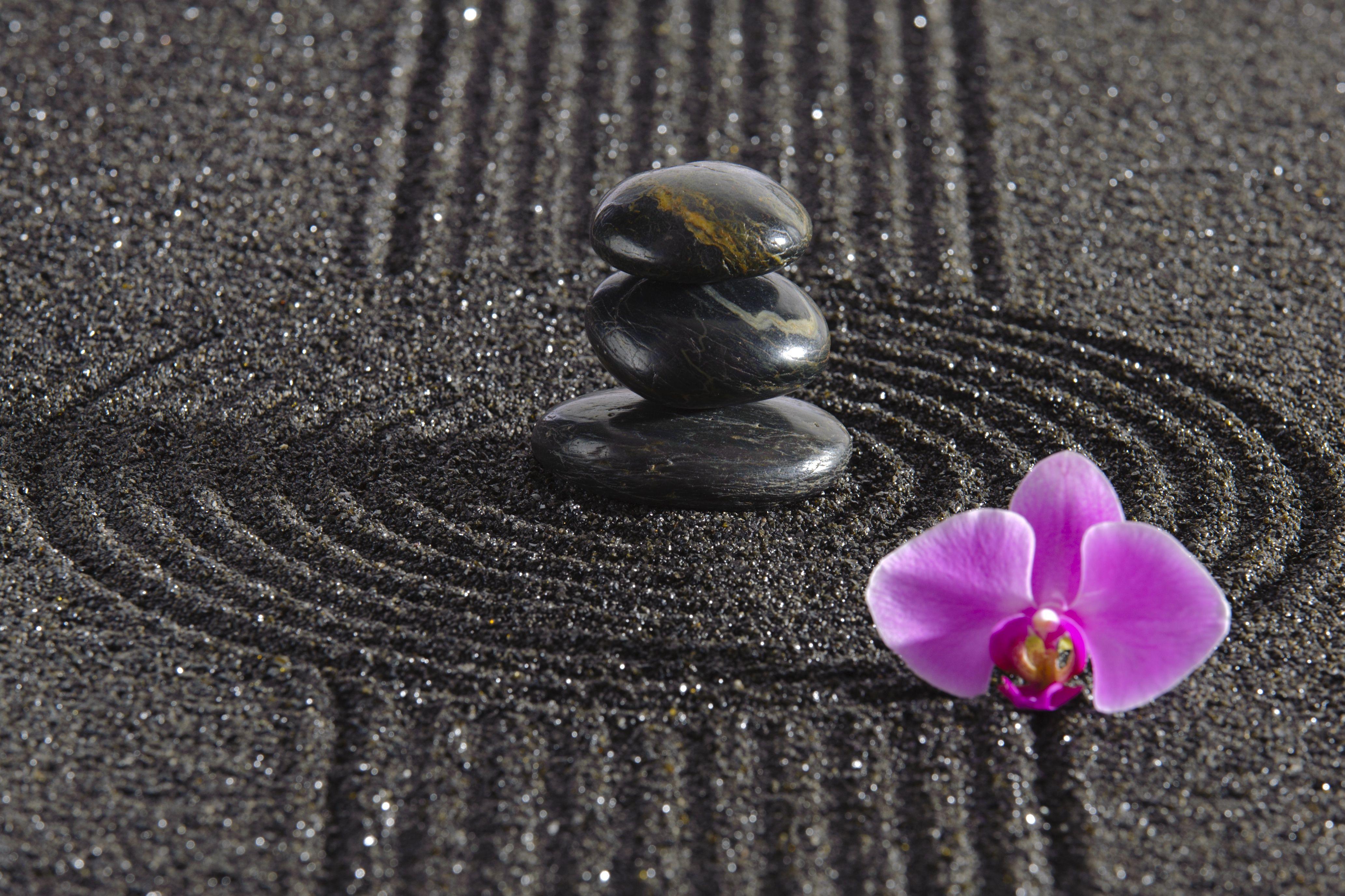 Purple Zen Wallpapers Top Free Purple Zen Backgrounds WallpaperAccess