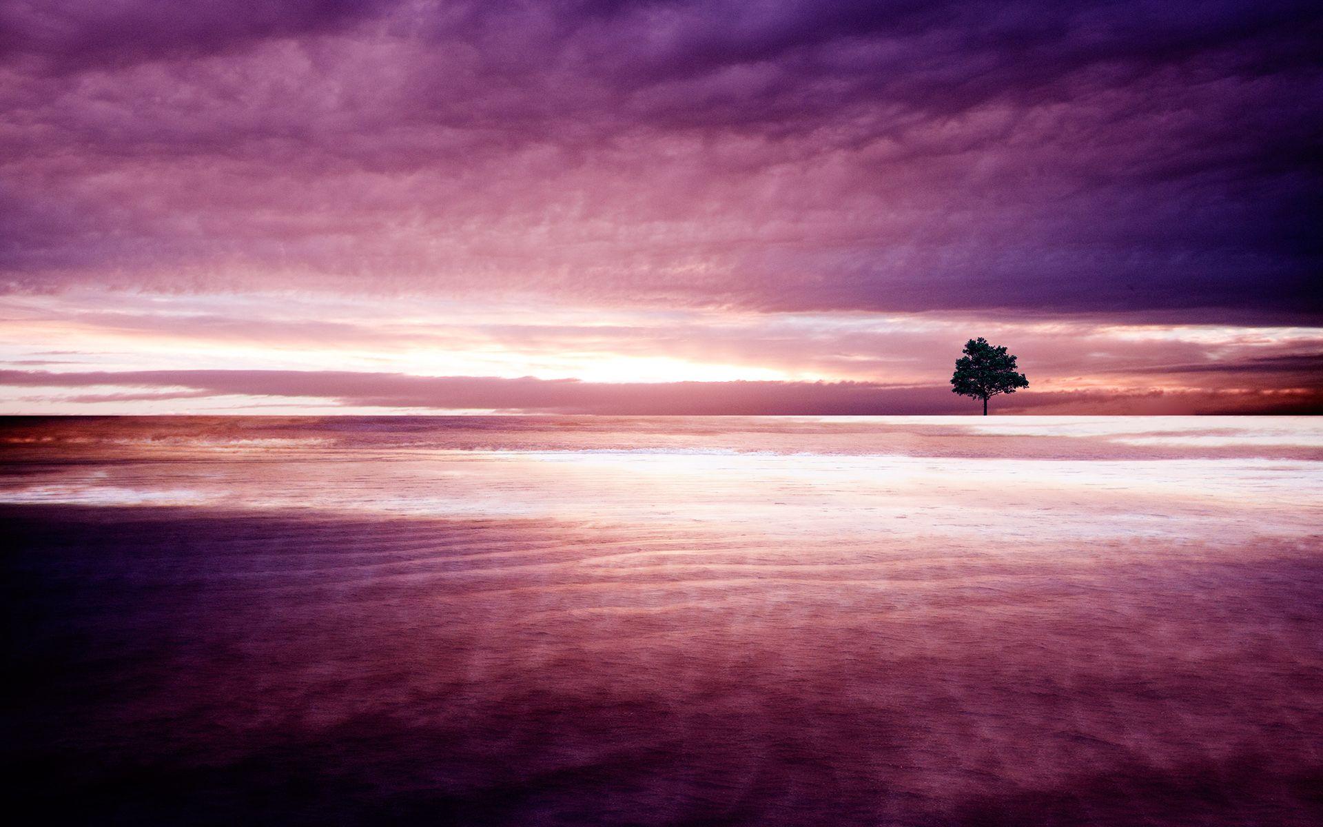Pink and Purple Nature Wallpapers Top Free Pink and Purple Nature