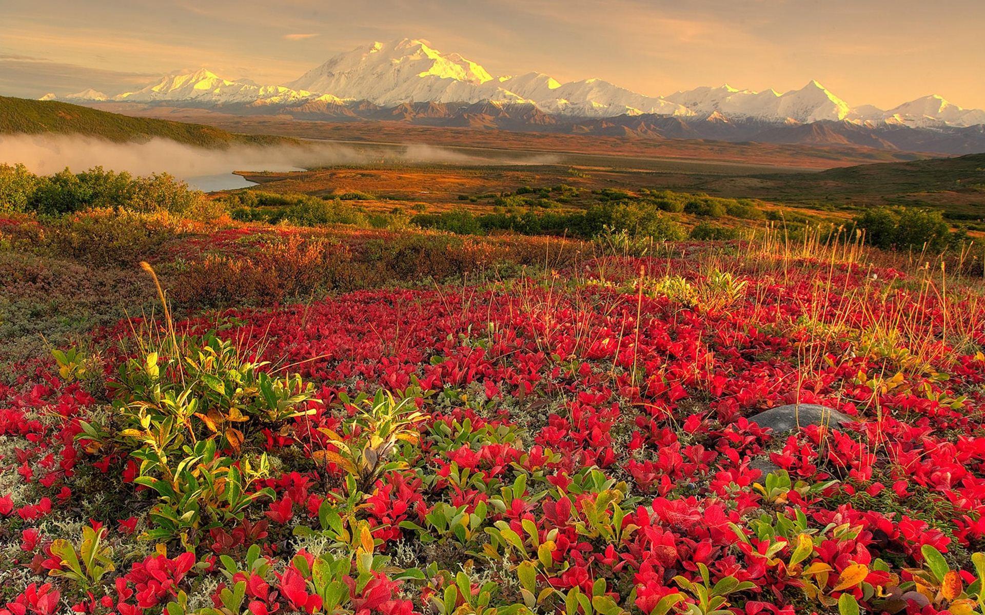 Red Landscape Wallpapers Top Free Red Landscape Backgrounds