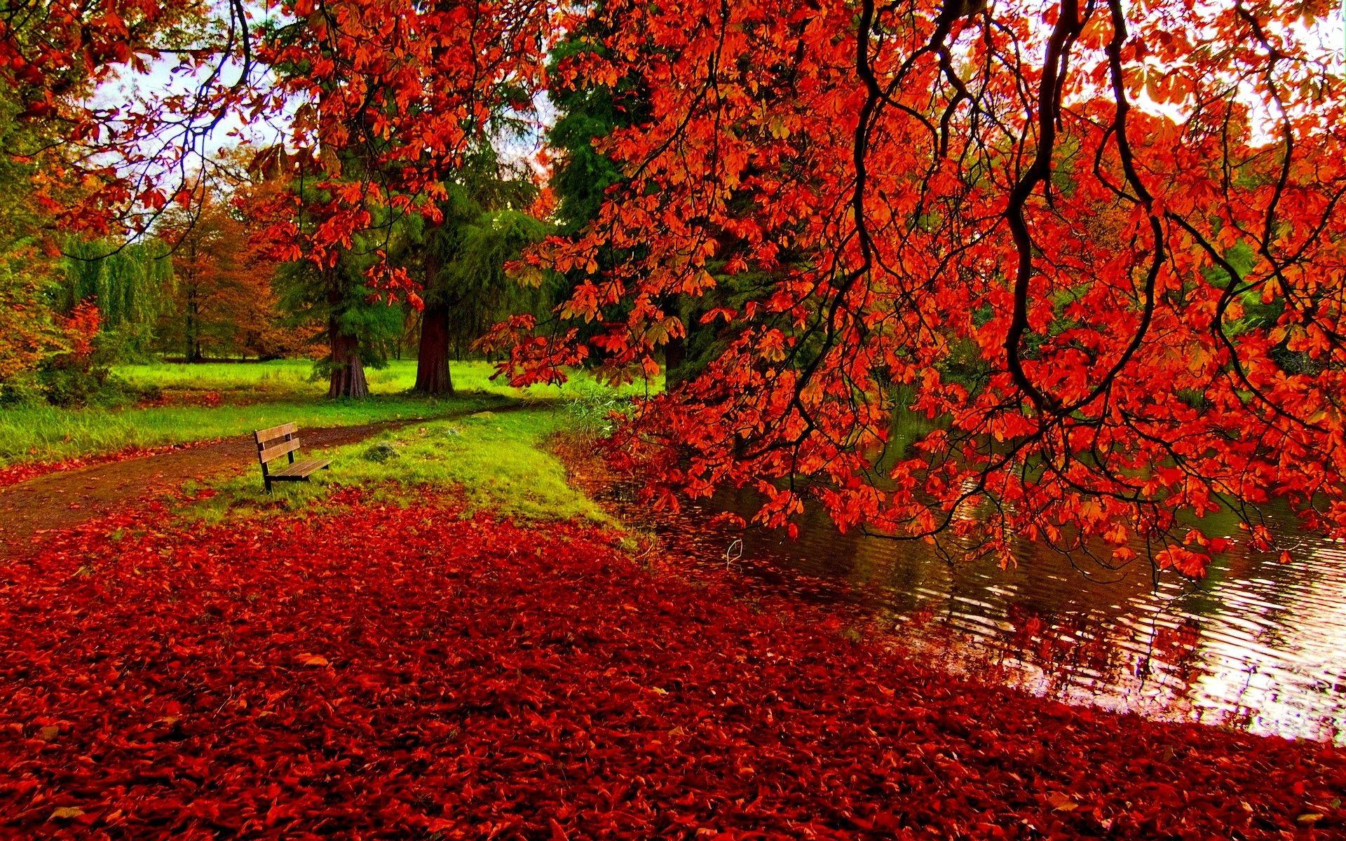 Red Scenery Wallpapers Top Free Red Scenery Backgrounds WallpaperAccess