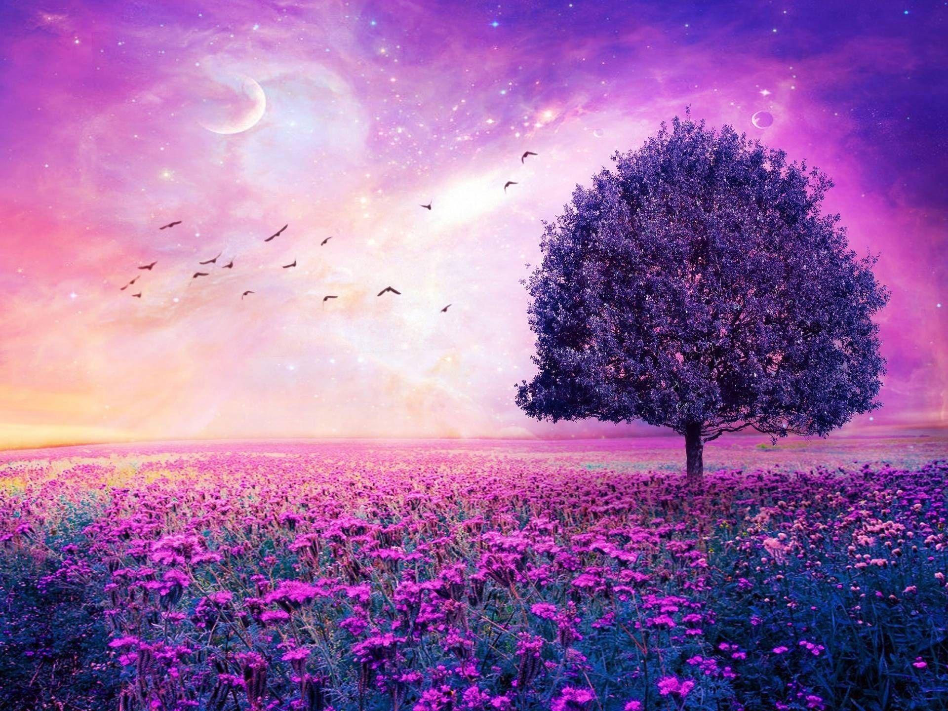 Pink Scenery Wallpapers Top Free Pink Scenery Backgrounds