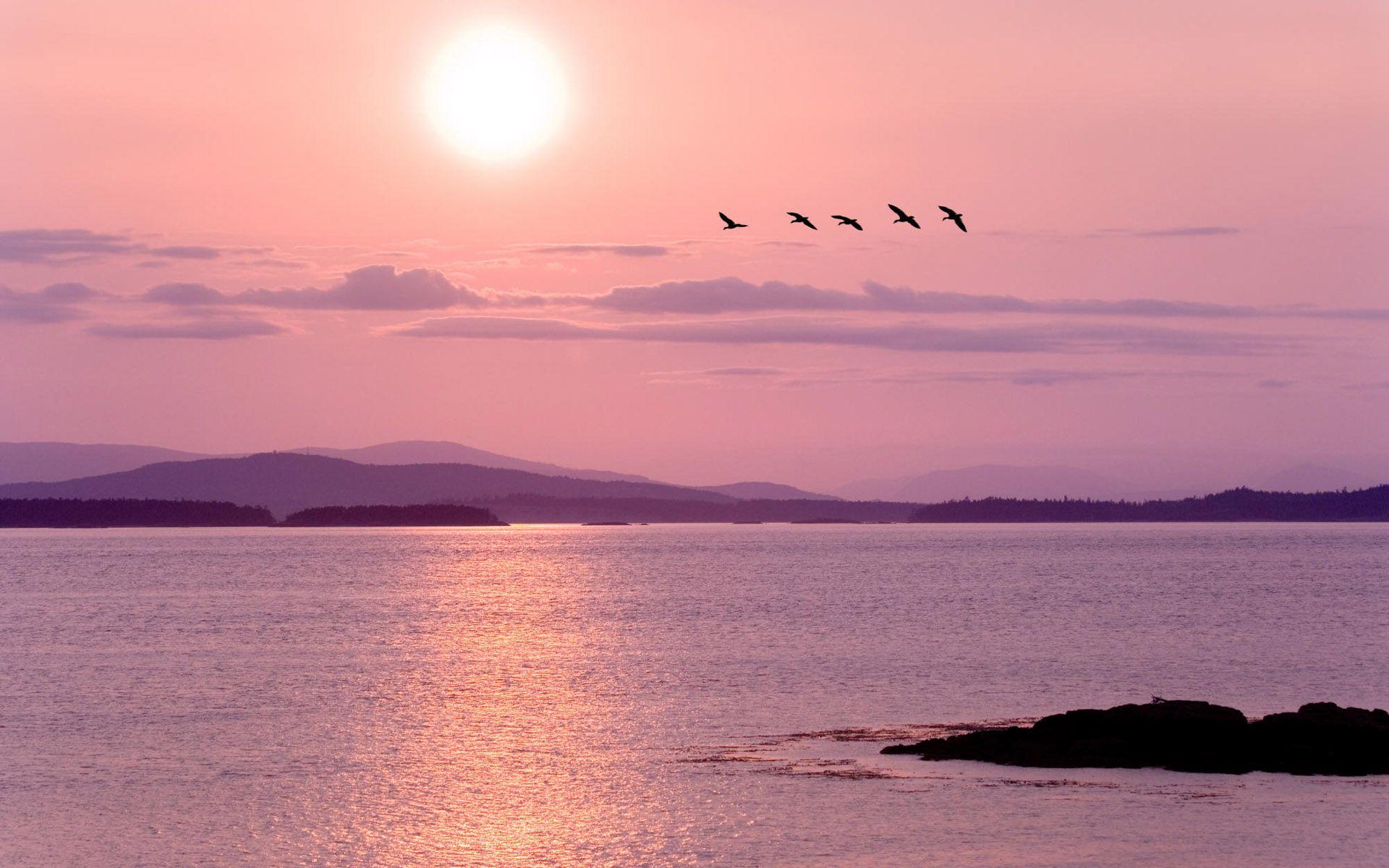 Pink Scenery Wallpapers Top Free Pink Scenery Backgrounds