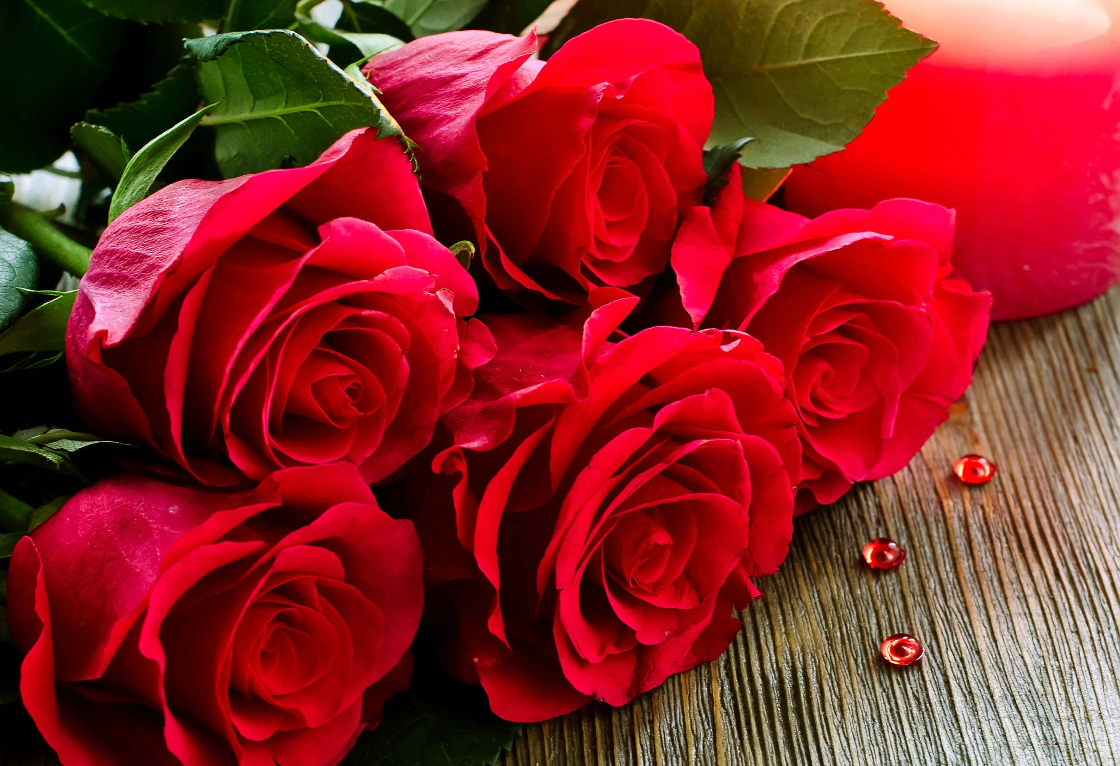Red Roses HD Wallpapers Top Free Red Roses HD Backgrounds WallpaperAccess