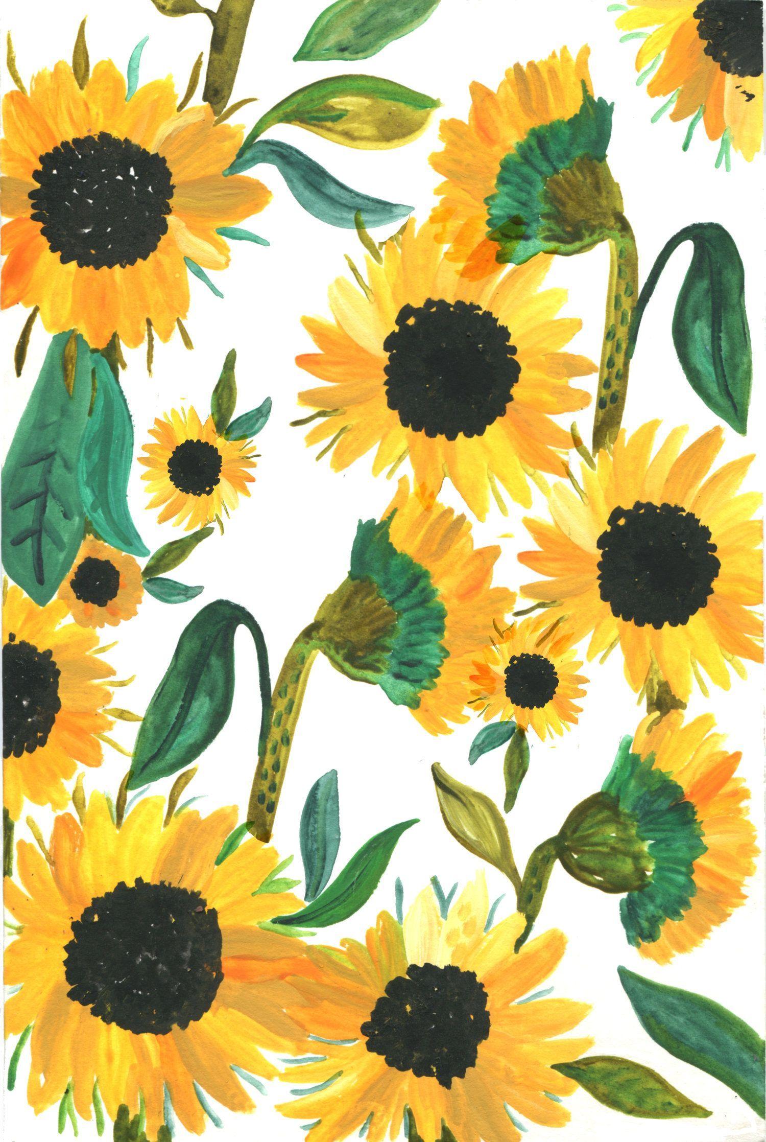 Cute Sunflower Wallpapers Top Free Cute Sunflower Backgrounds