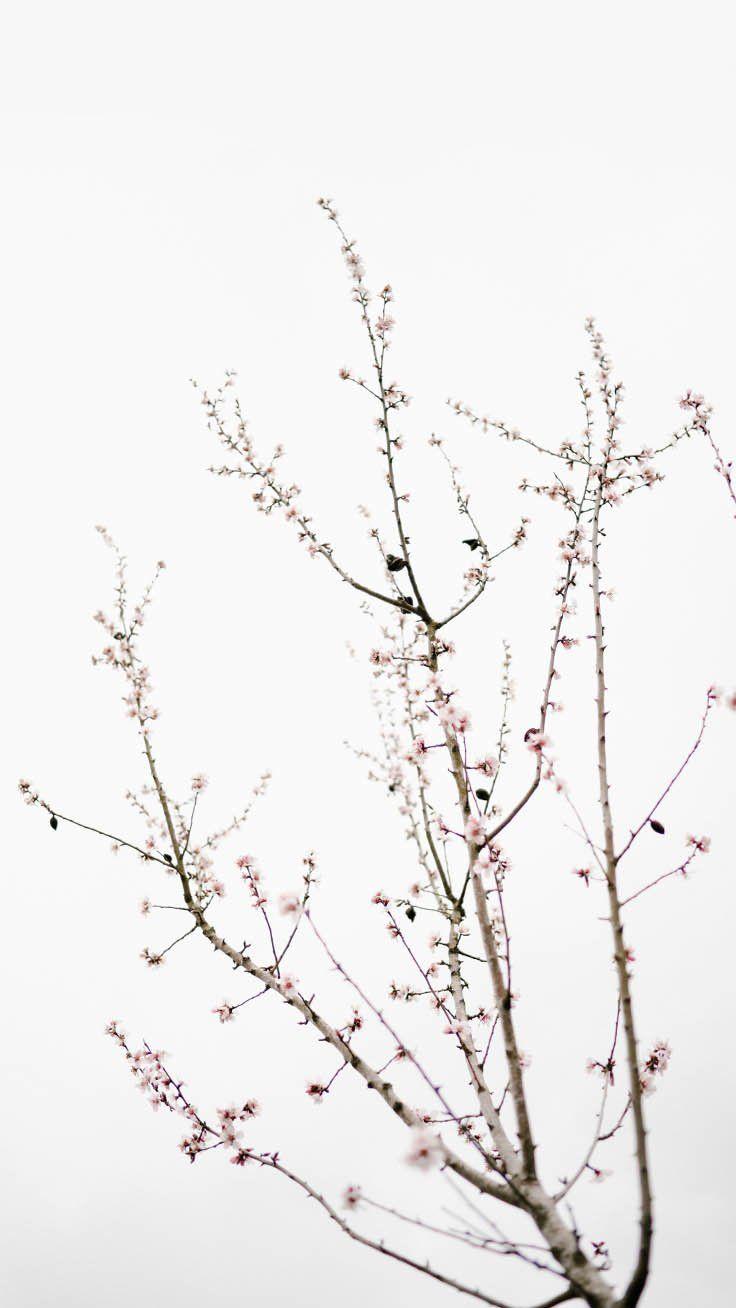 Simple White iPhone Wallpapers Top Free Simple White iPhone