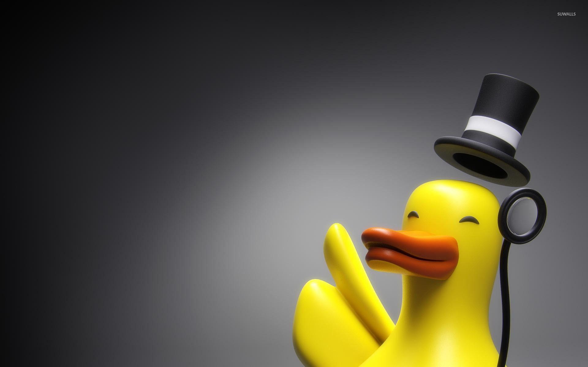 Cool Duck Wallpapers Top Free Cool Duck Backgrounds WallpaperAccess