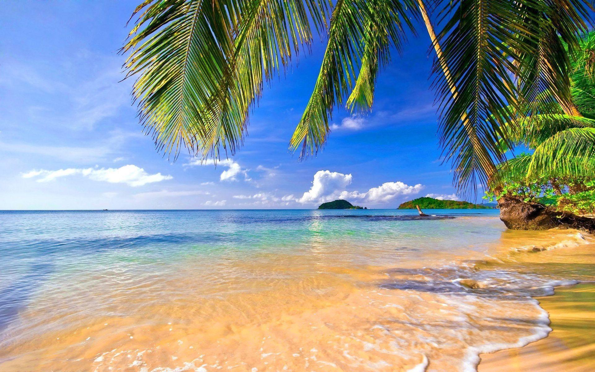 Tropical Beach Scenes Wallpaper