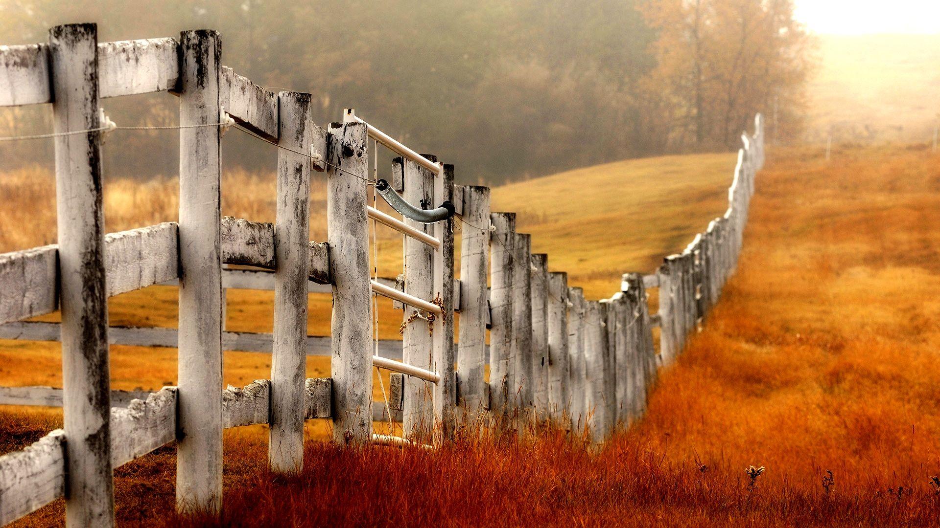 Fence Wallpapers Top Free Fence Backgrounds WallpaperAccess