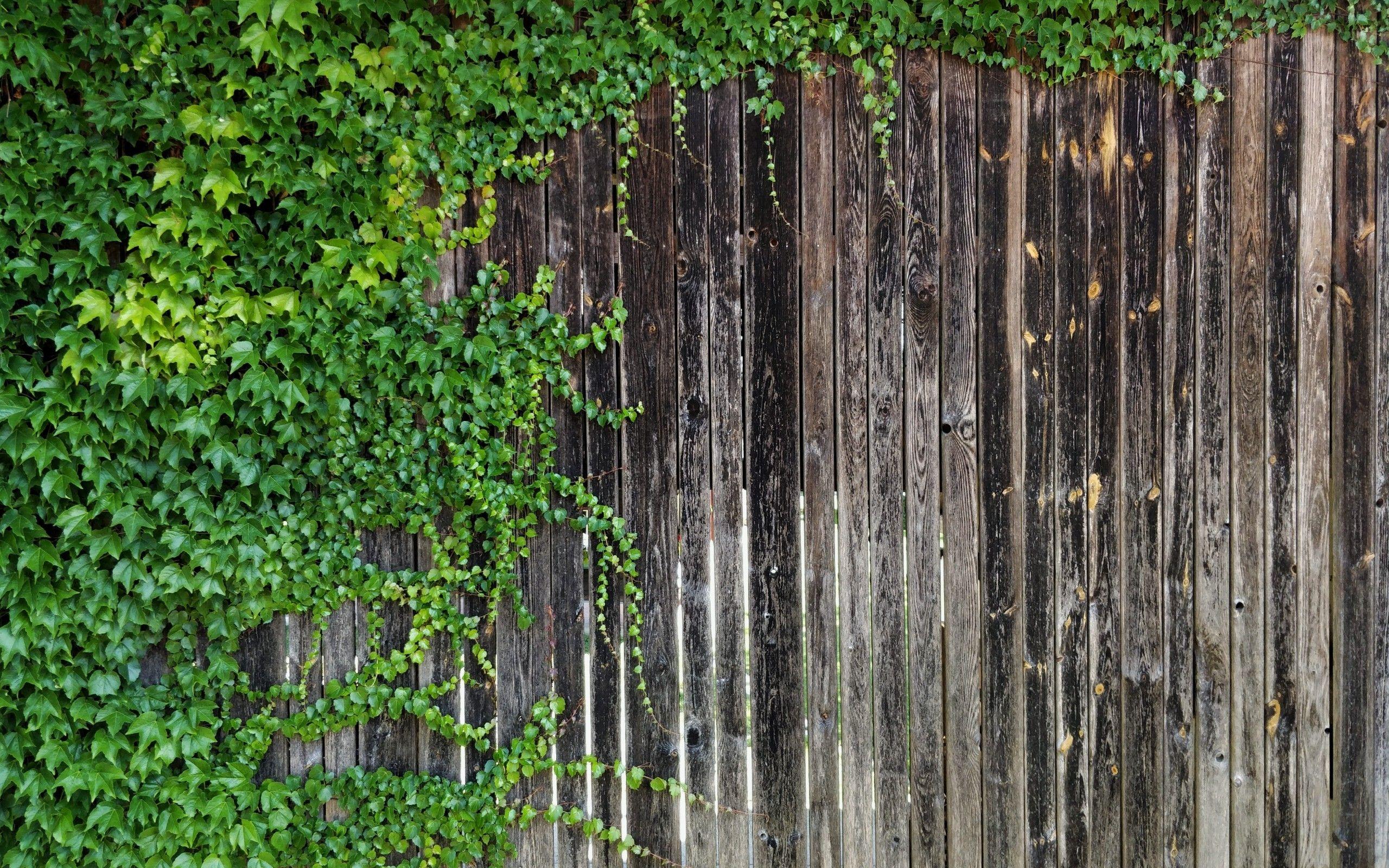 Fence Wallpapers Top Free Fence Backgrounds WallpaperAccess