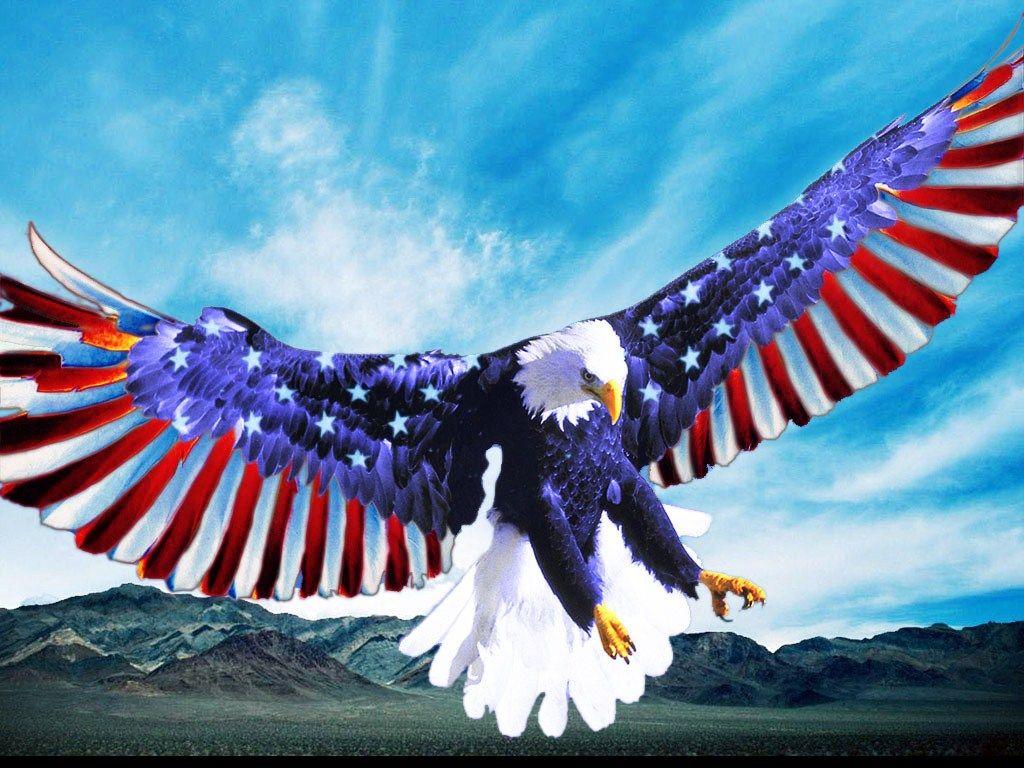American Eagle Wallpapers Top Free American Eagle Backgrounds