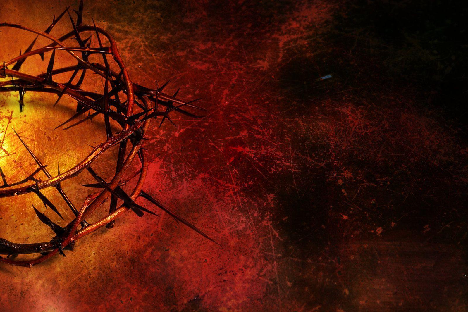 Crown of Thorns Wallpapers Top Free Crown of Thorns Backgrounds
