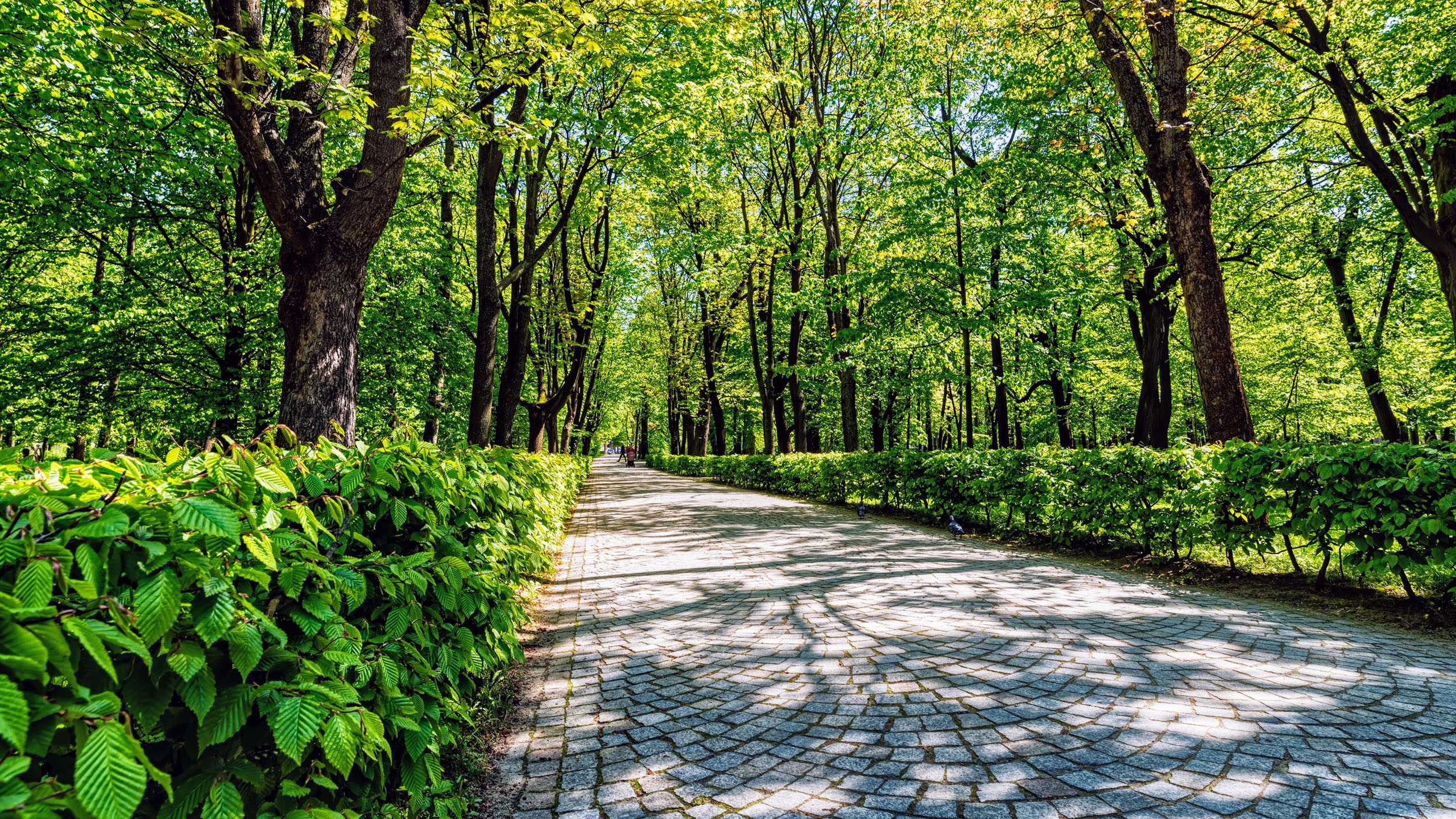 Big Beautiful Nature Wallpapers Top Free Big Beautiful Nature