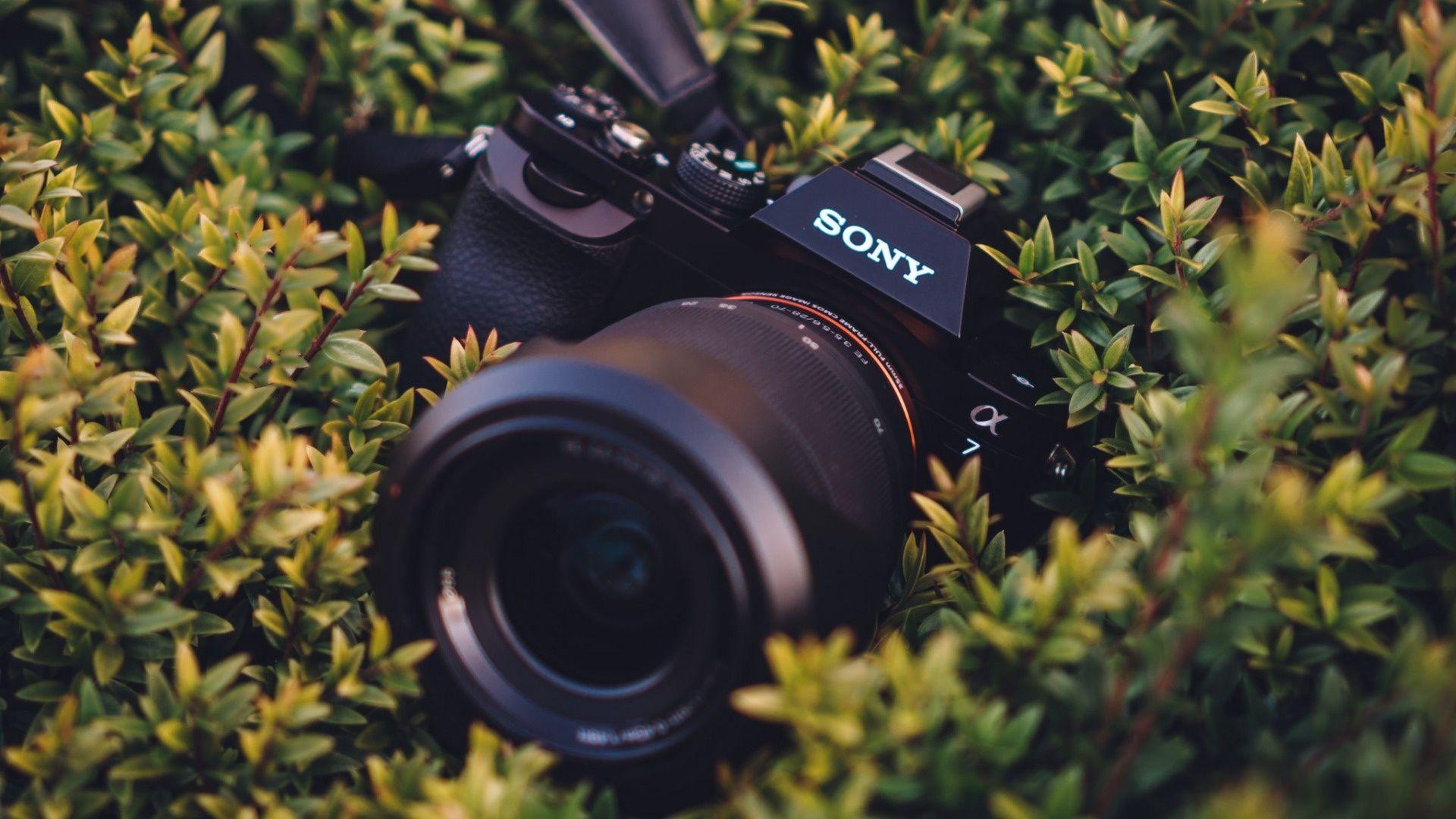 Sony Camera Wallpapers Top Free Sony Camera Backgrounds WallpaperAccess