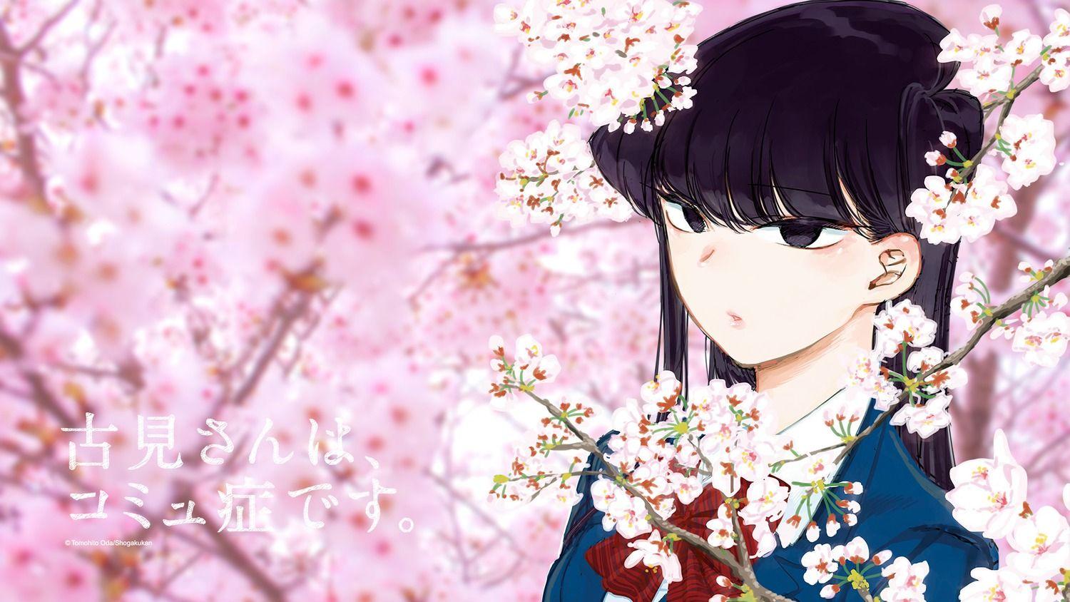Komisan Wallpapers Top Free Komisan Backgrounds WallpaperAccess
