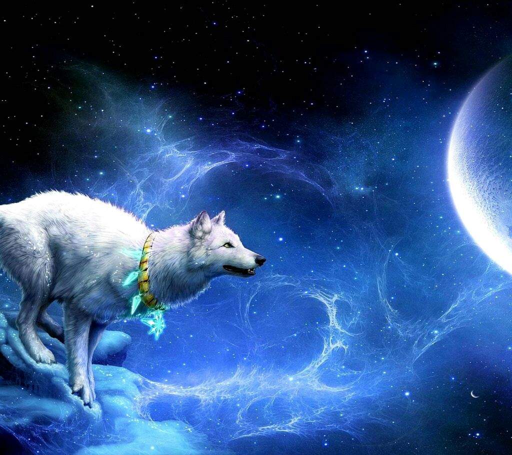 Spirit Wolf Wallpapers Top Free Spirit Wolf Backgrounds WallpaperAccess