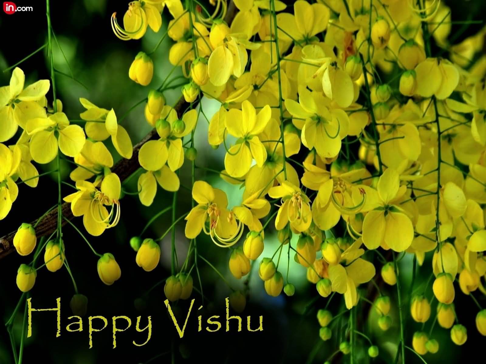 Happy vishu Wallpapers Top Free Happy vishu Backgrounds WallpaperAccess