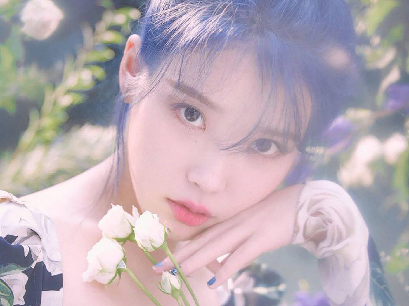 IU Palette Wallpapers Top Free IU Palette Backgrounds WallpaperAccess