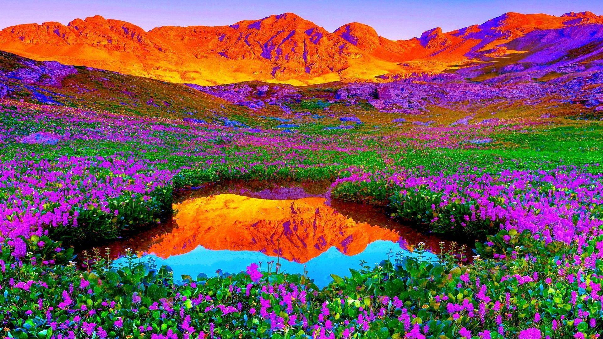 Colorful Nature Wallpapers Top Free Colorful Nature Backgrounds