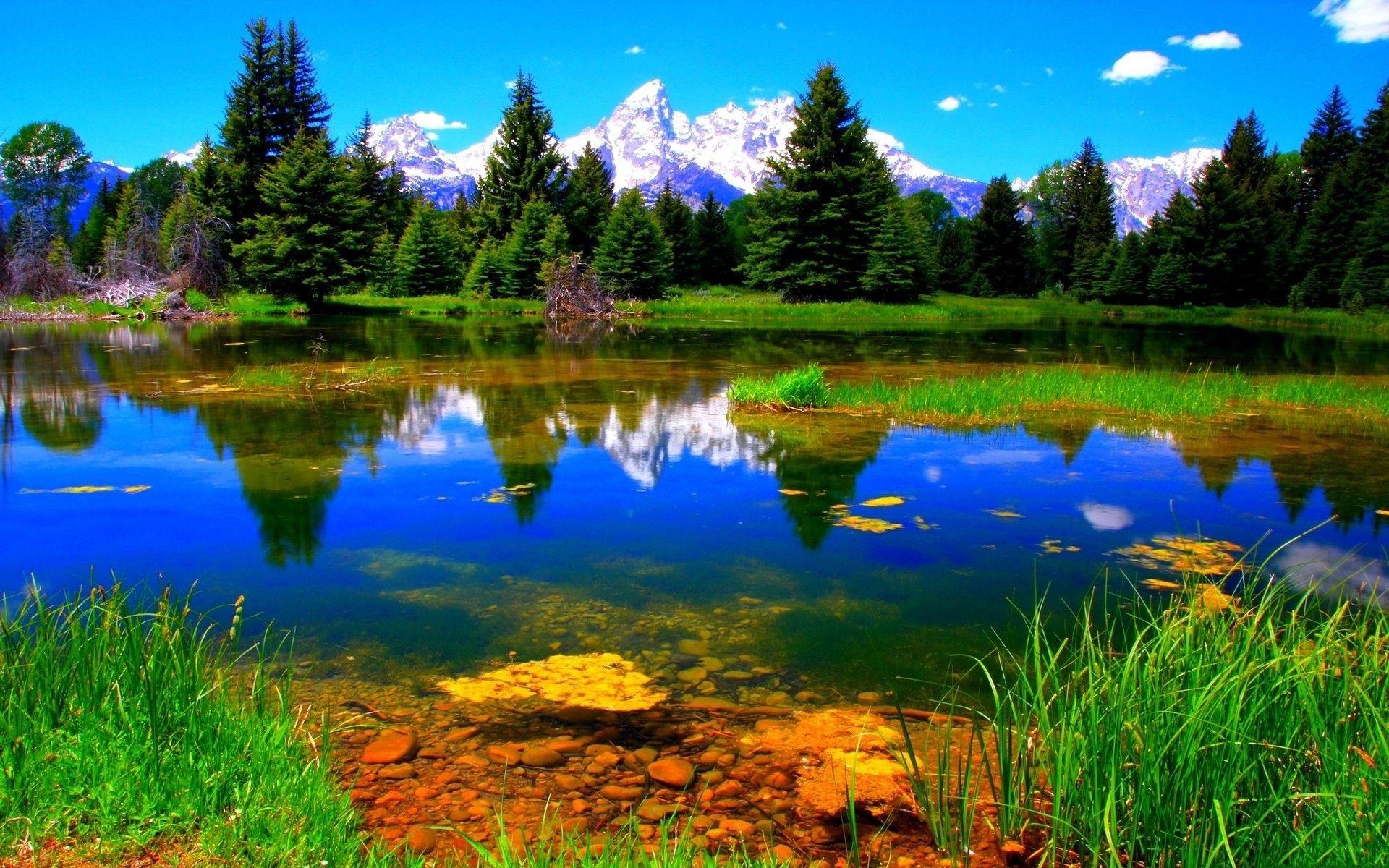 Colorful Nature Wallpapers Top Free Colorful Nature Backgrounds