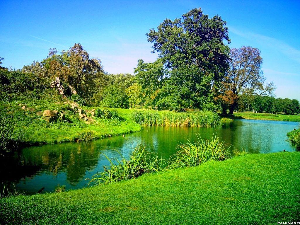 Fresh Nature Wallpapers Top Free Fresh Nature Backgrounds