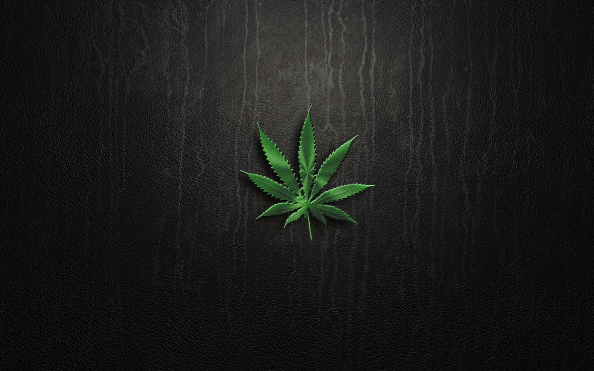 Weed 4K Wallpapers Top Free Weed 4K Backgrounds WallpaperAccess