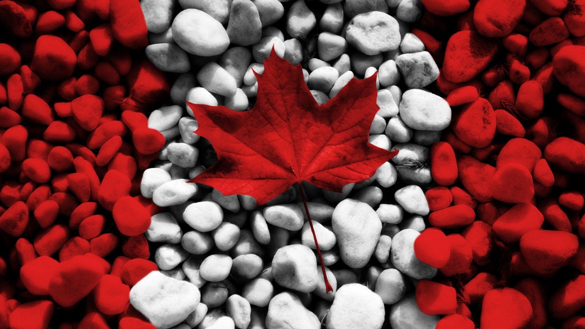 Canada Flag Wallpapers Top Free Canada Flag Backgrounds WallpaperAccess