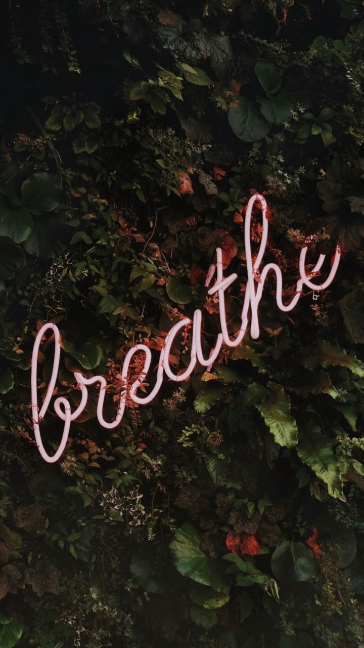 Everything Will Be OK Wallpapers Top Free Everything Will Be OK