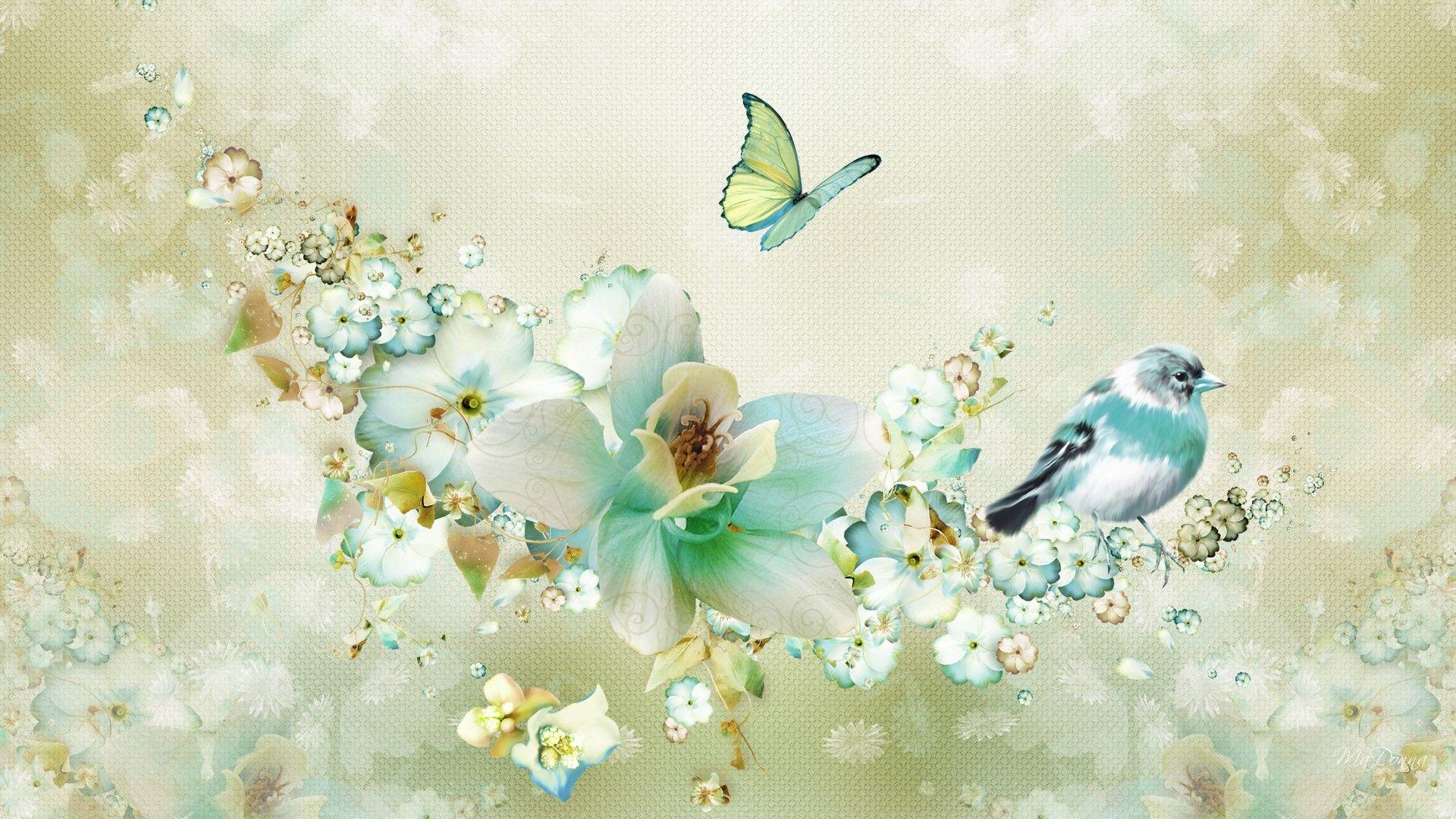 Birds and Butterflies Wallpapers Top Free Birds and Butterflies