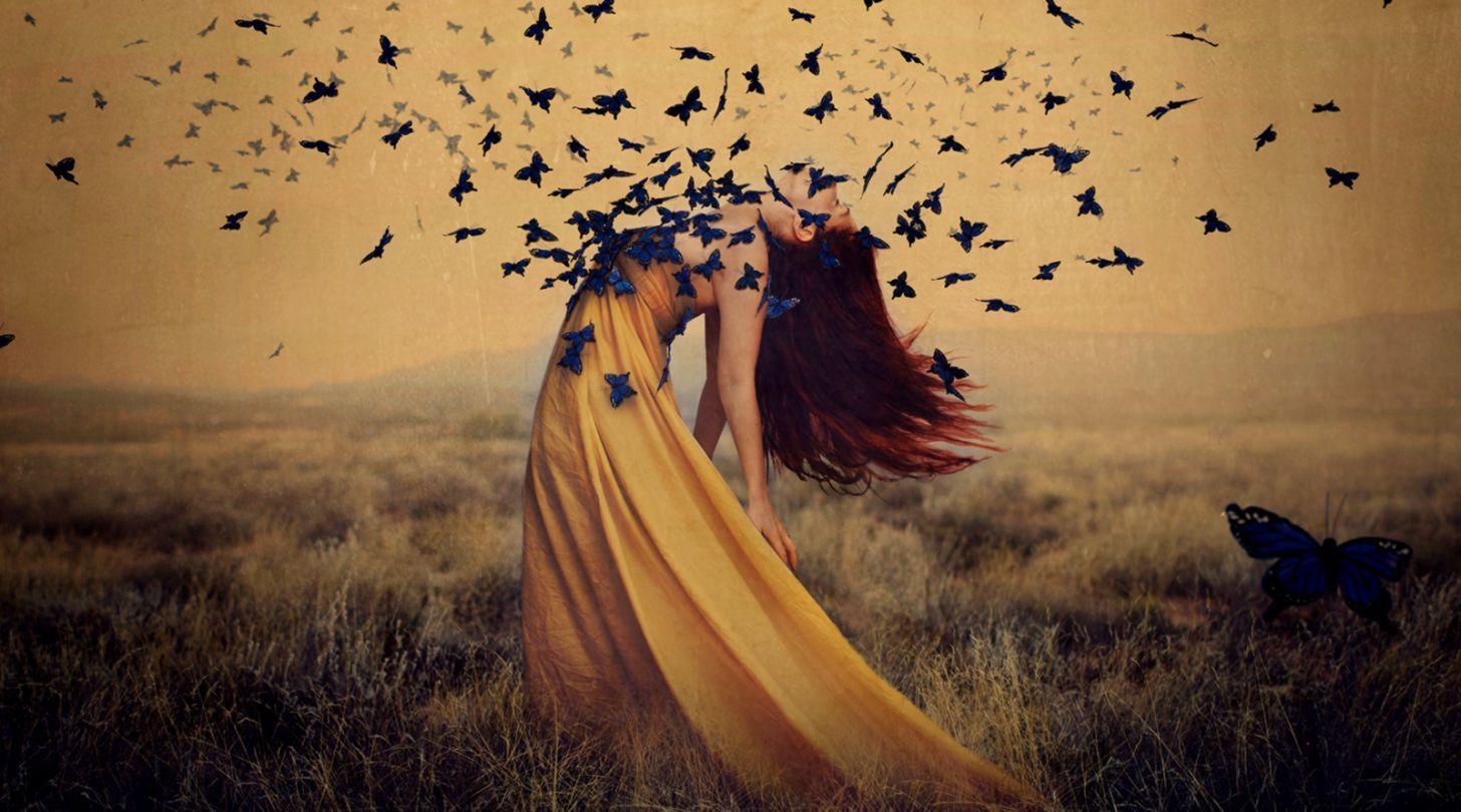 Photography Art Wallpapers Top Free Photography Art Backgrounds