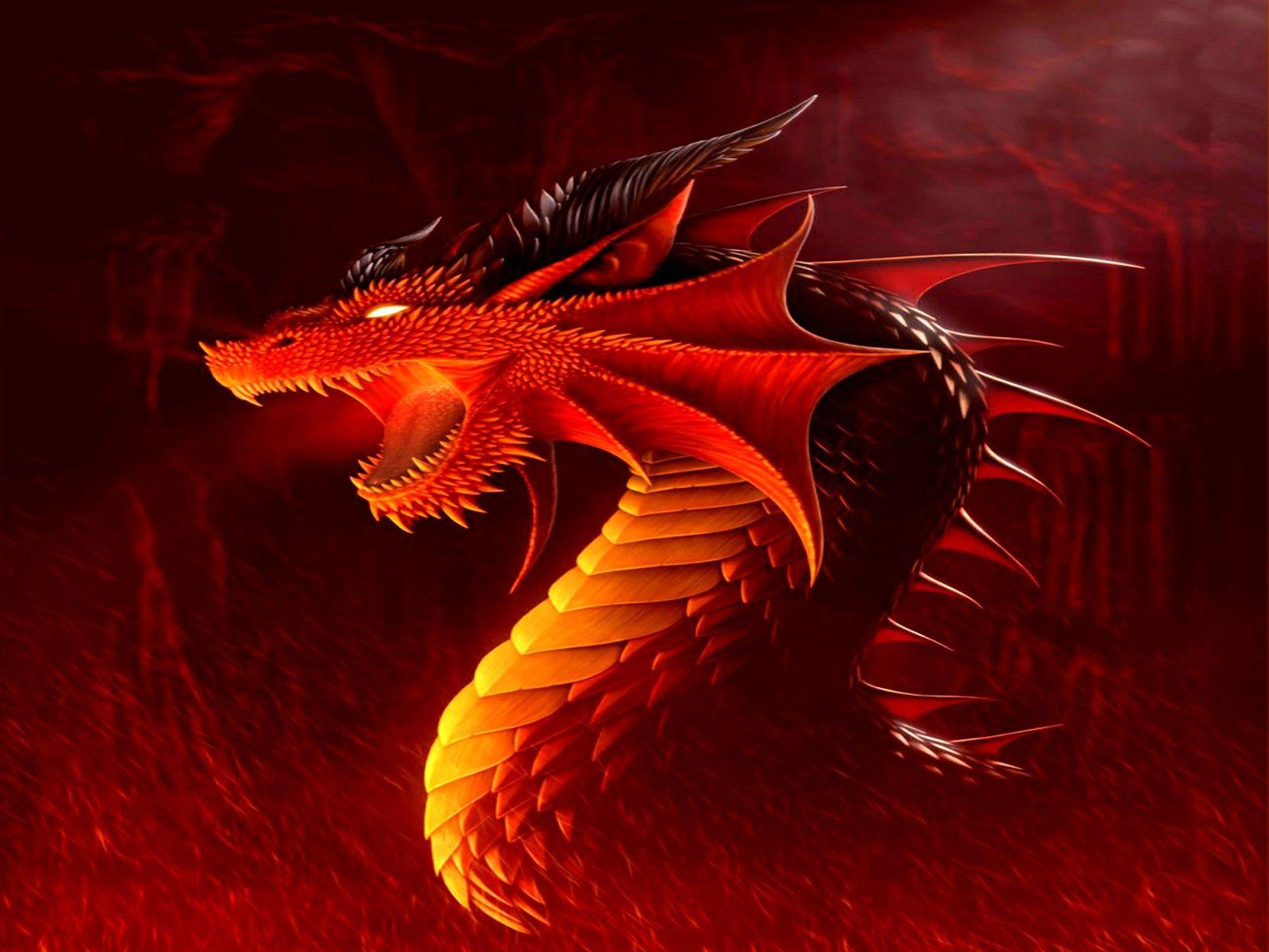 Cool Red Dragon Wallpapers Top Free Cool Red Dragon Backgrounds